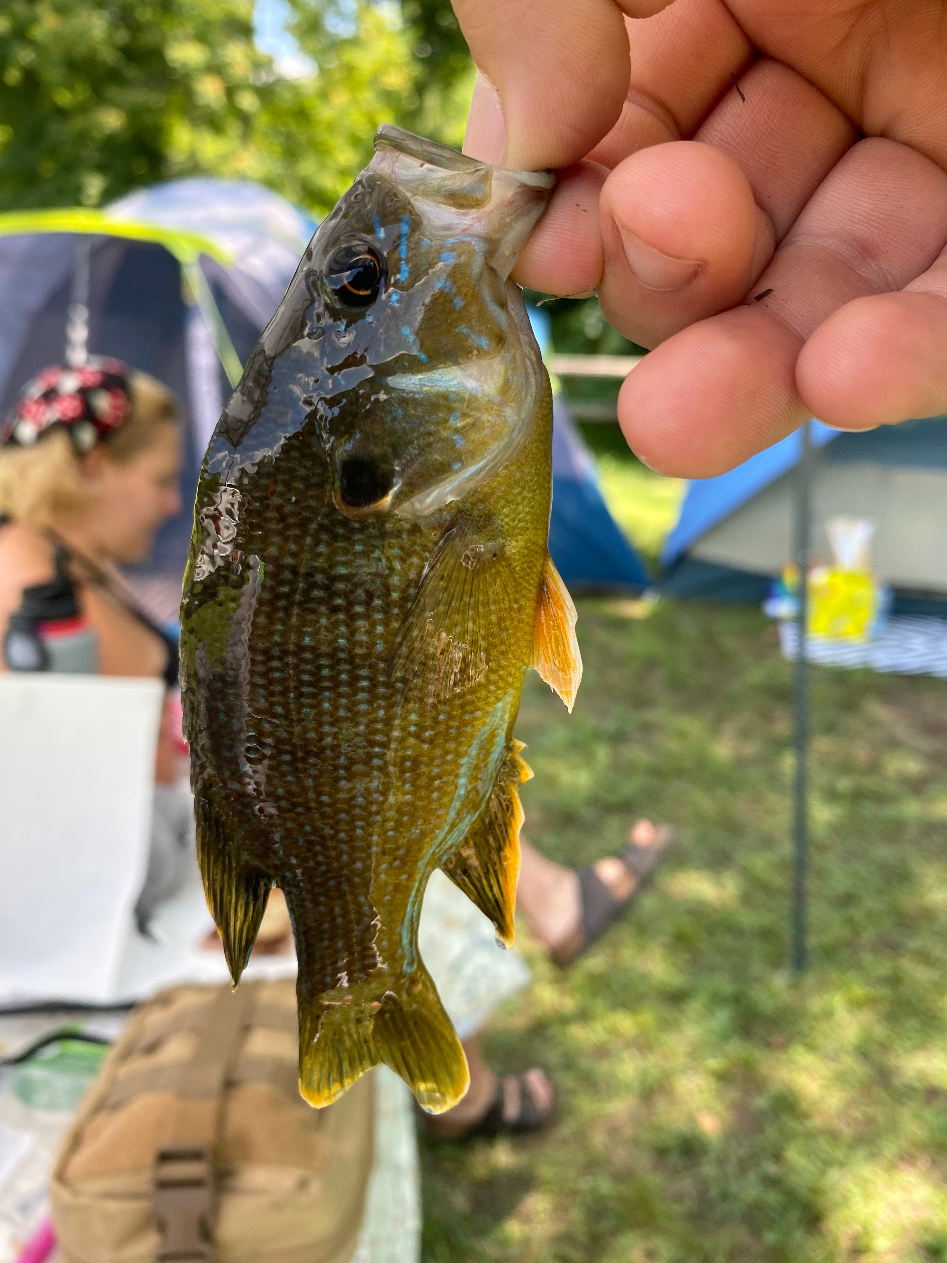 EarthSky Private Camp & Retreat