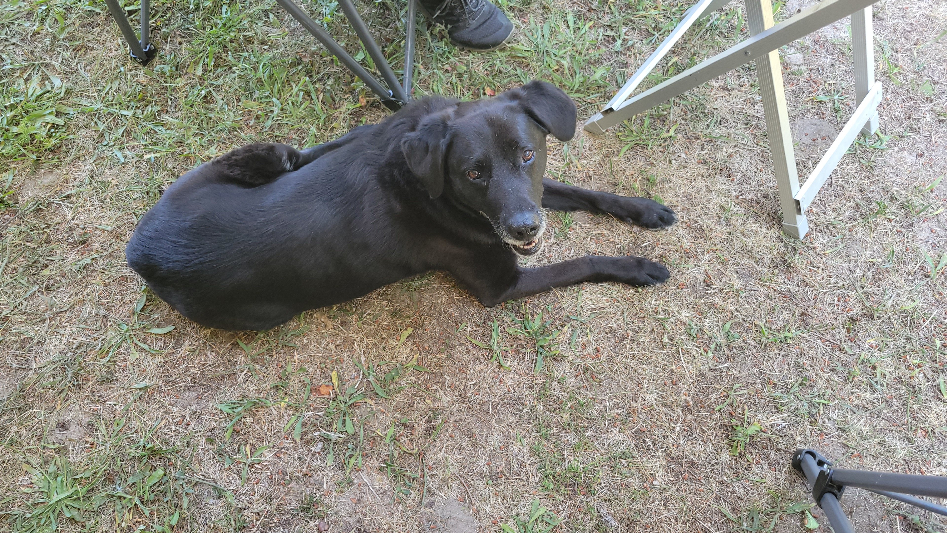 The sweet Skyla :)