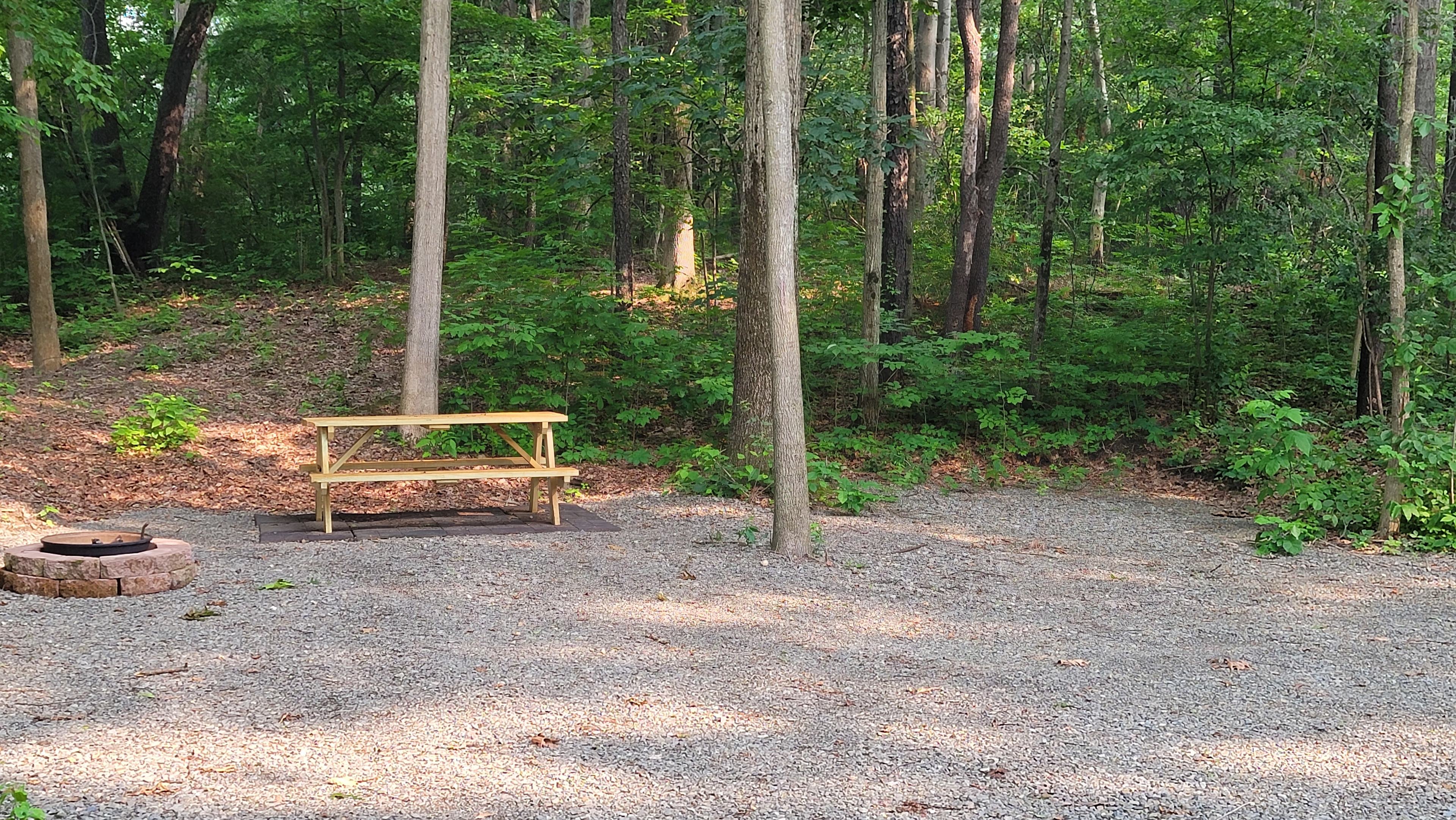 Weller Island Bliss Campsite
