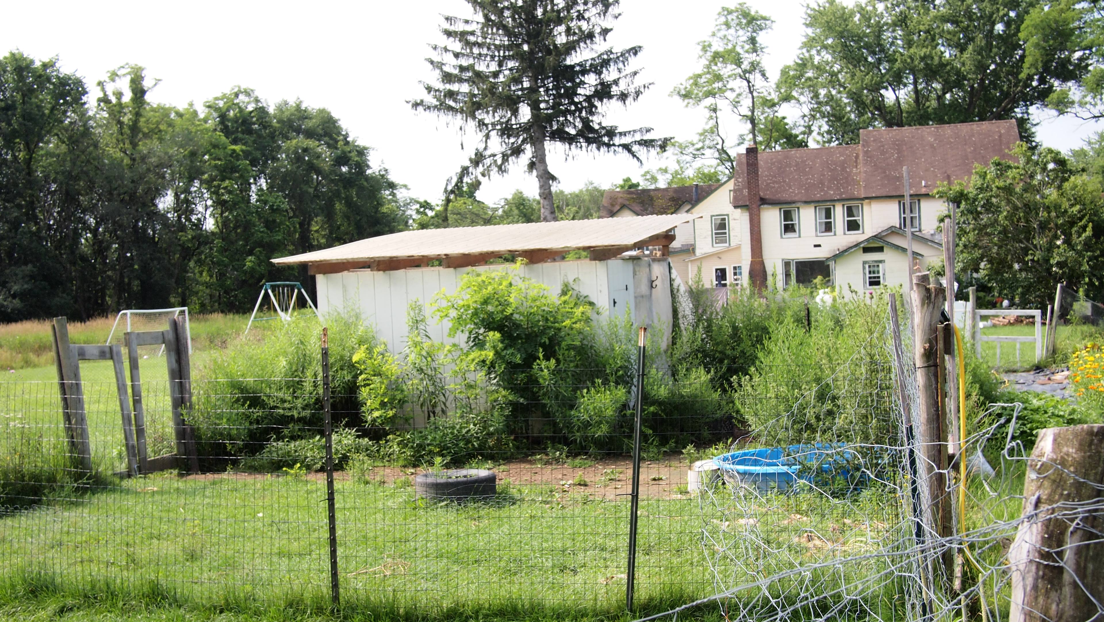 Little Duck Farm