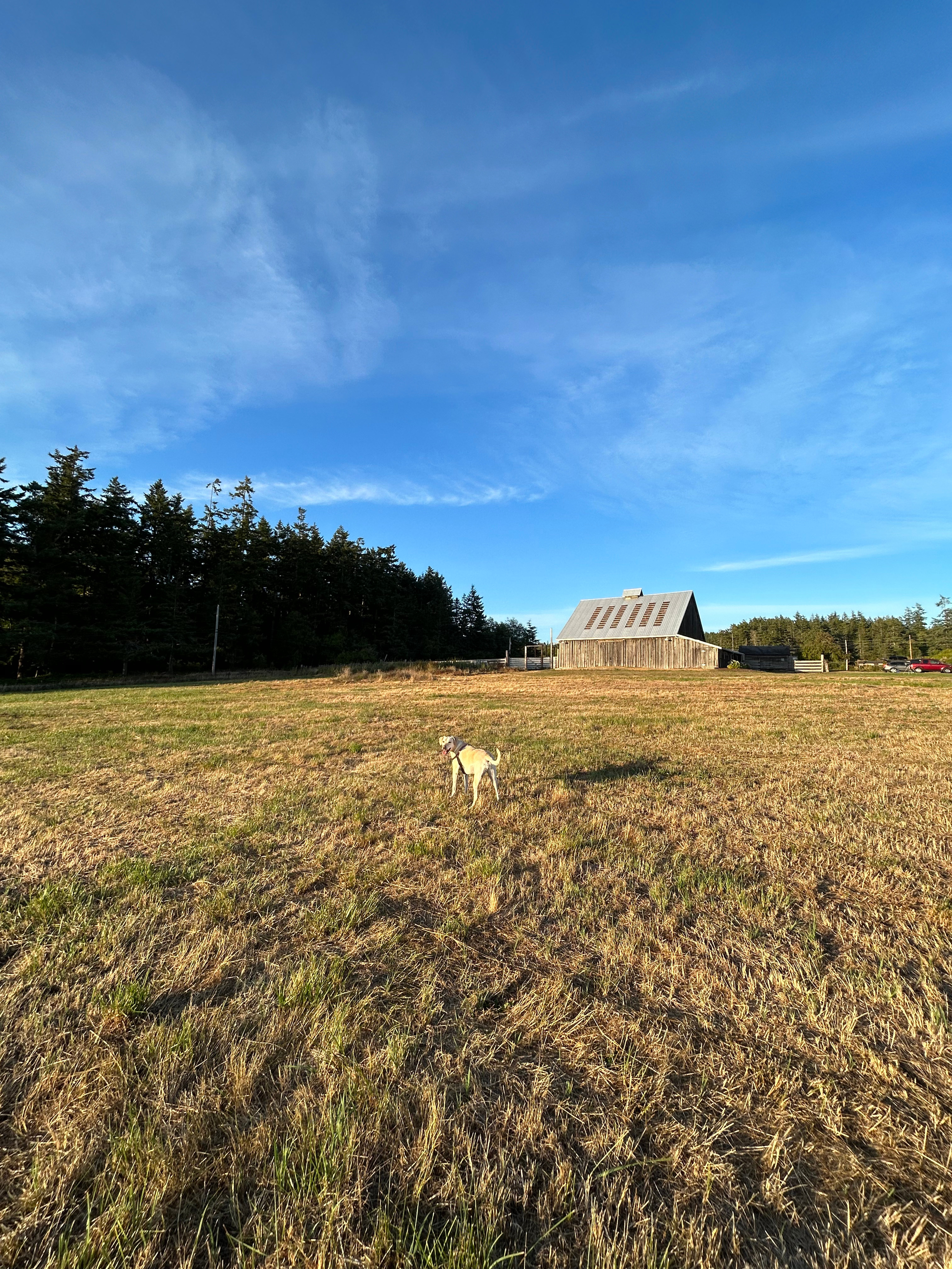 Ducken Farm Camping