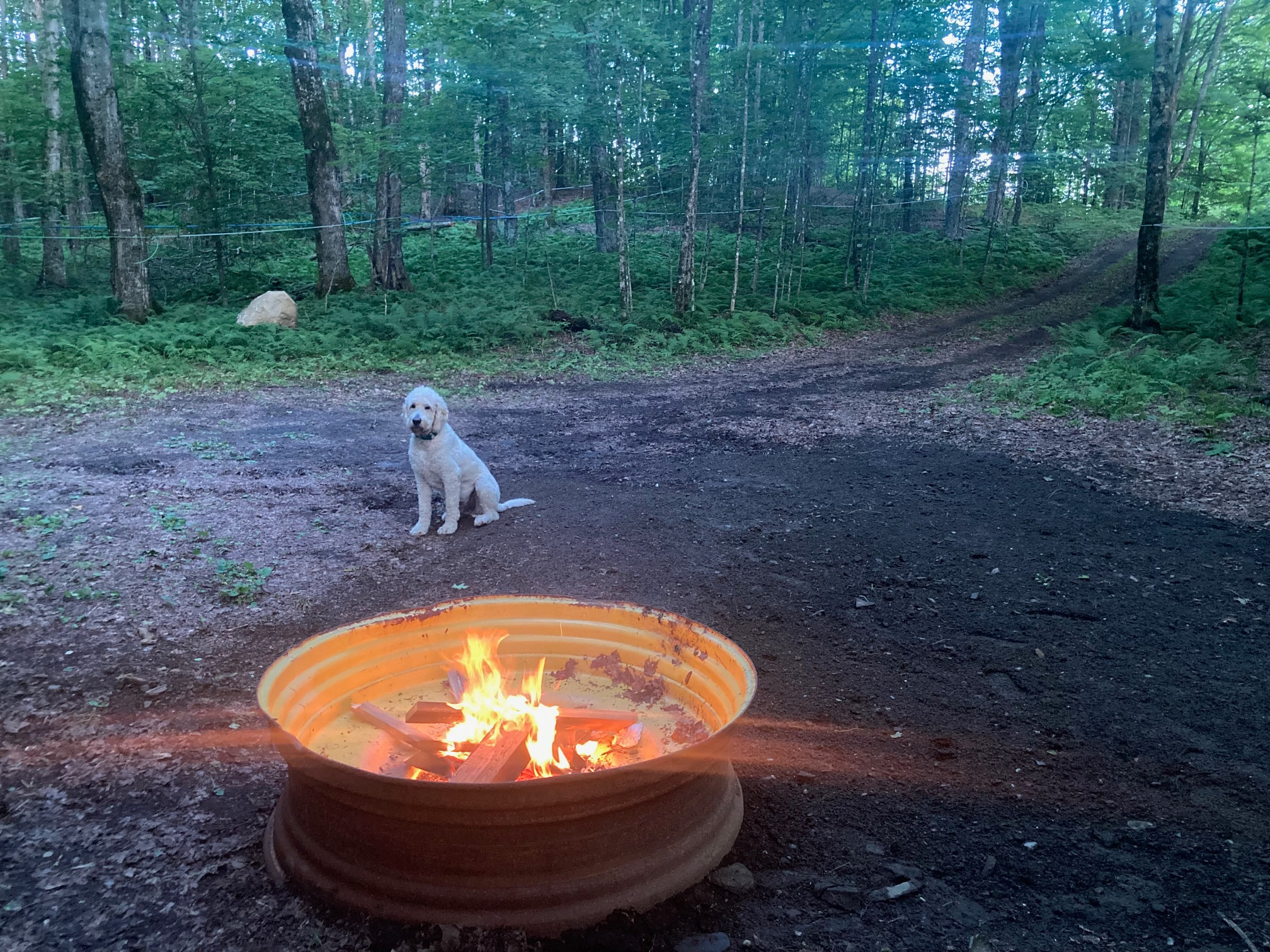Maple Hollow Shelter
