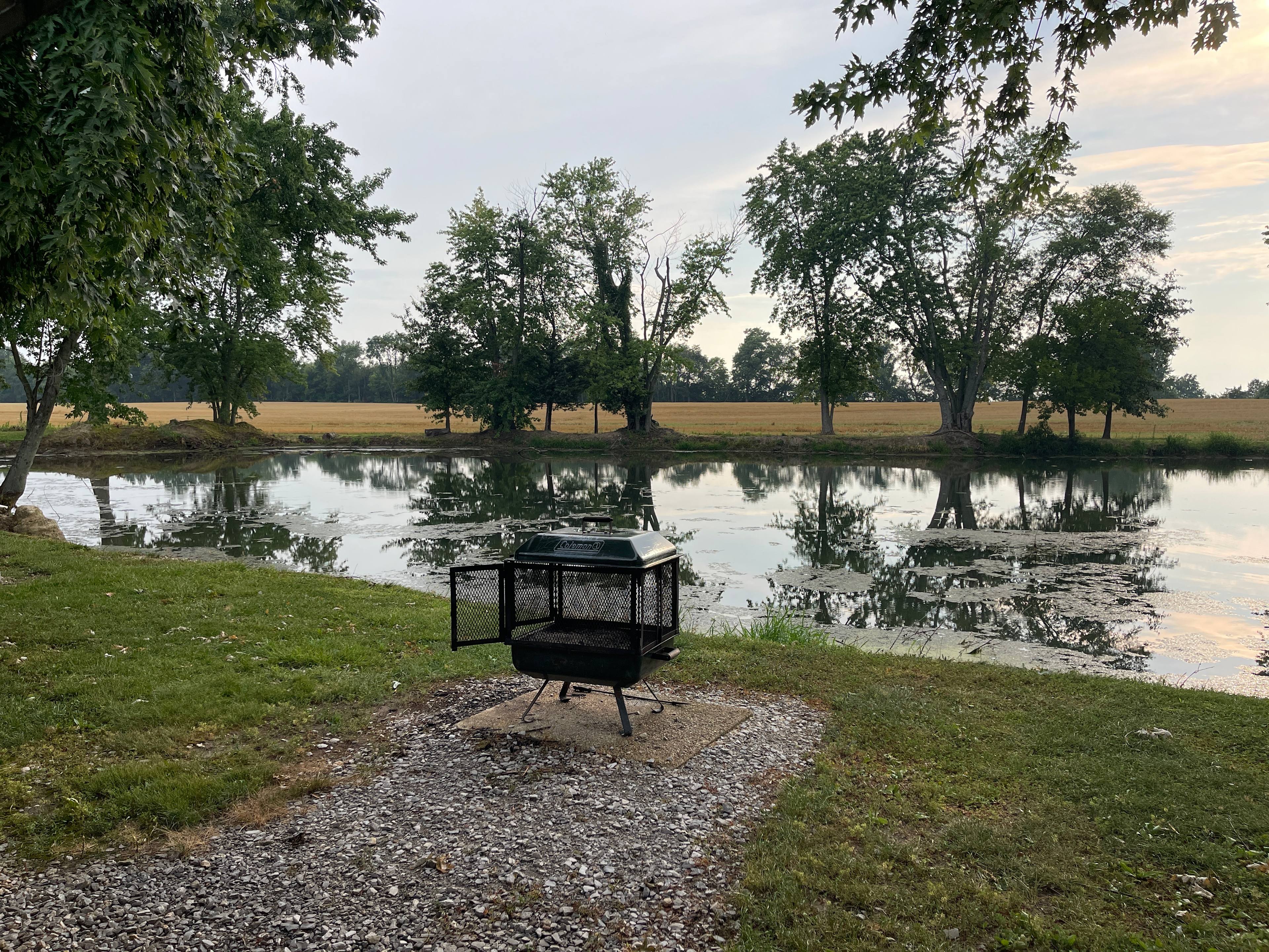 The Quiet Countryside