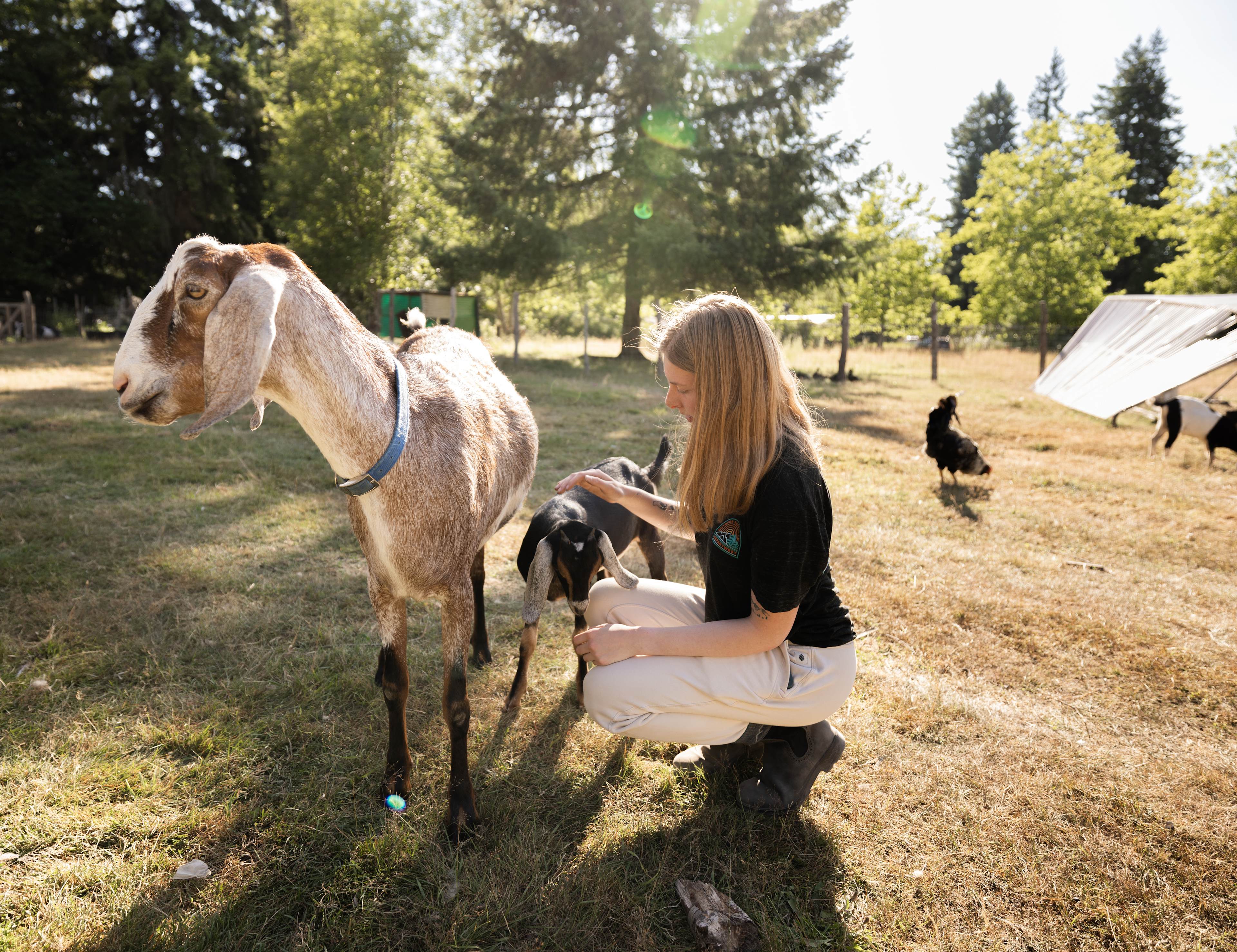 The Healing Farm
