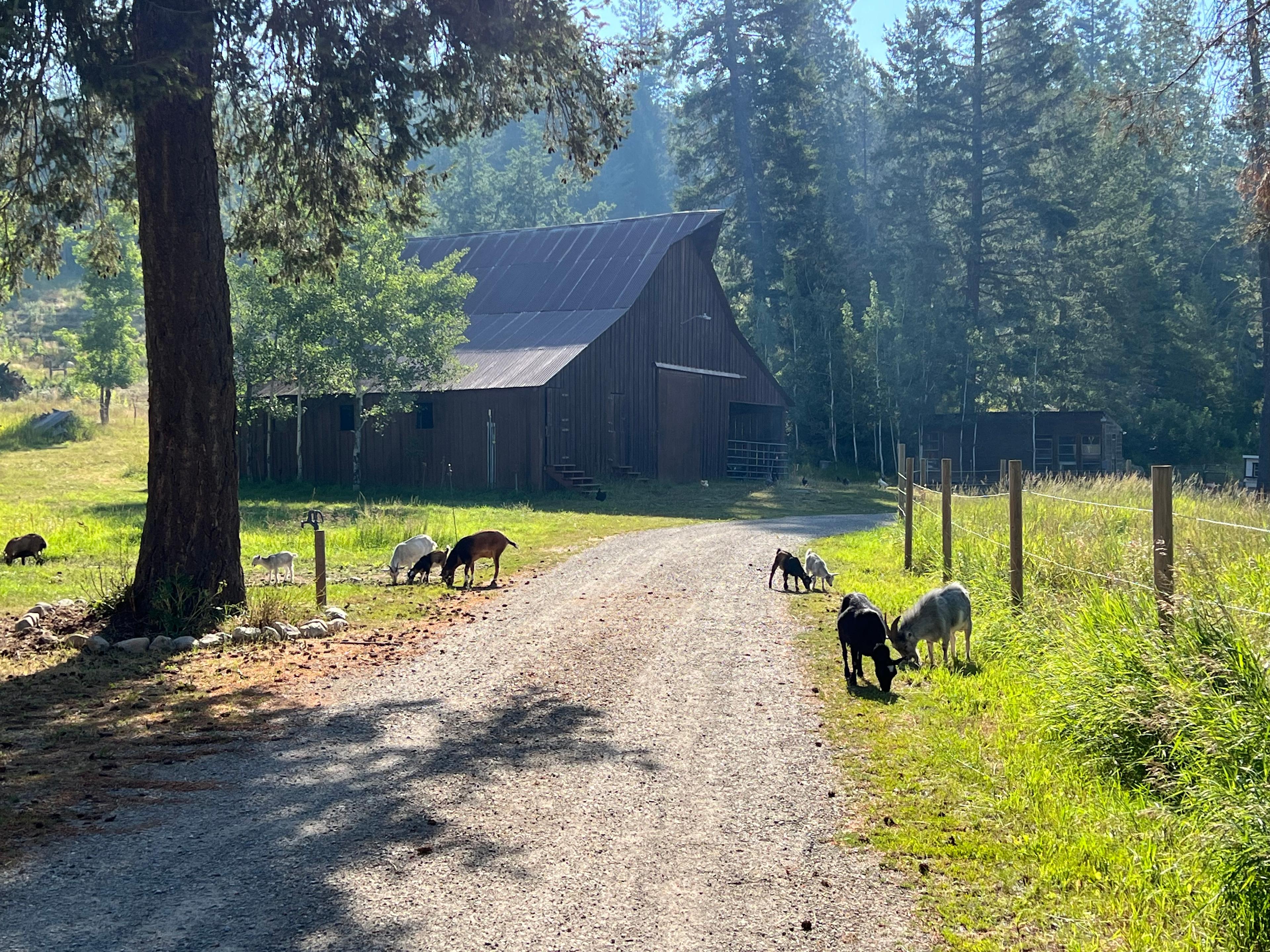 Our welcoming party.