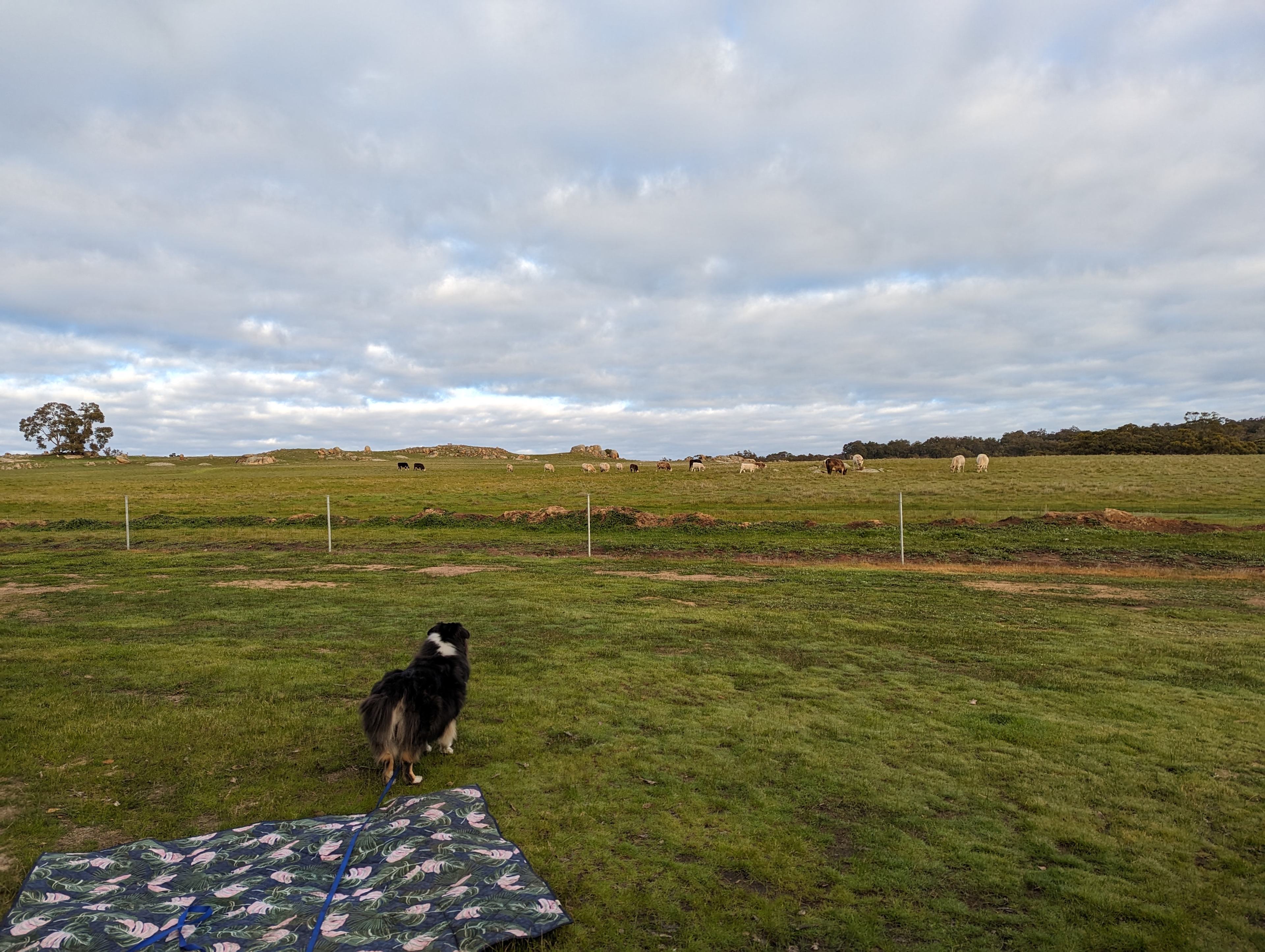 Peaceful Valley Farm