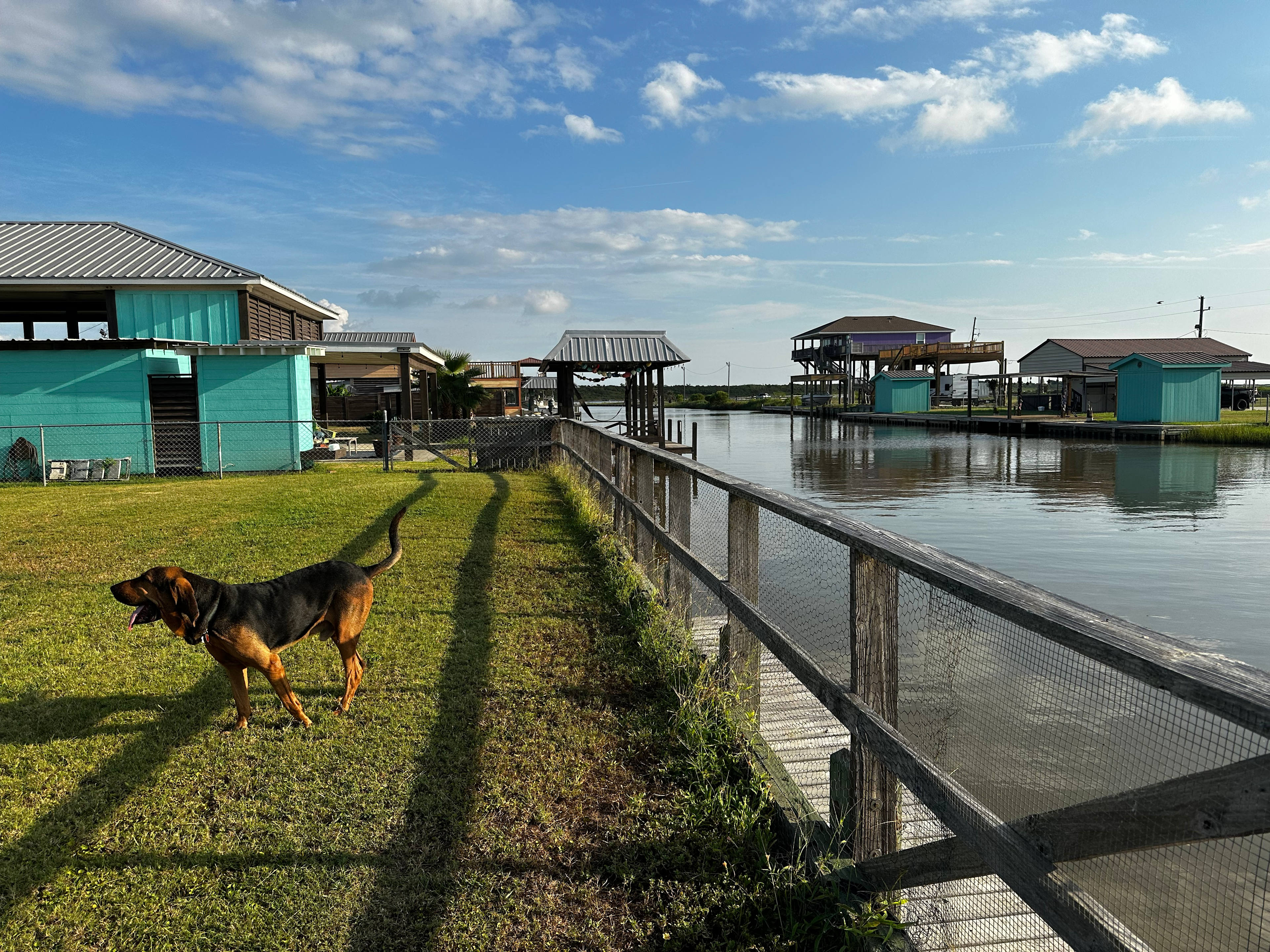 Bulkhead fence, dock, canal and bloodhound. 