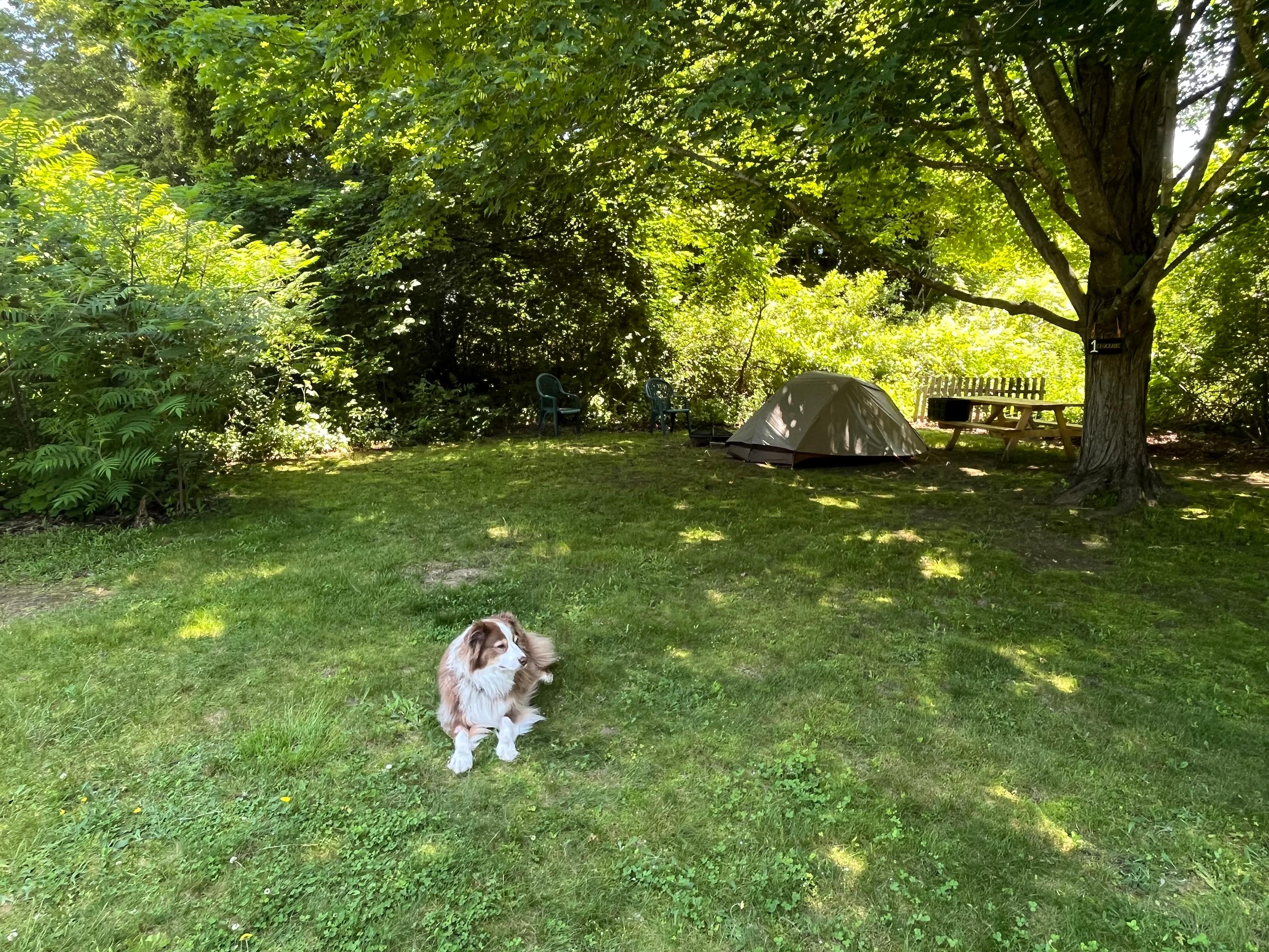 CoHo Campsites