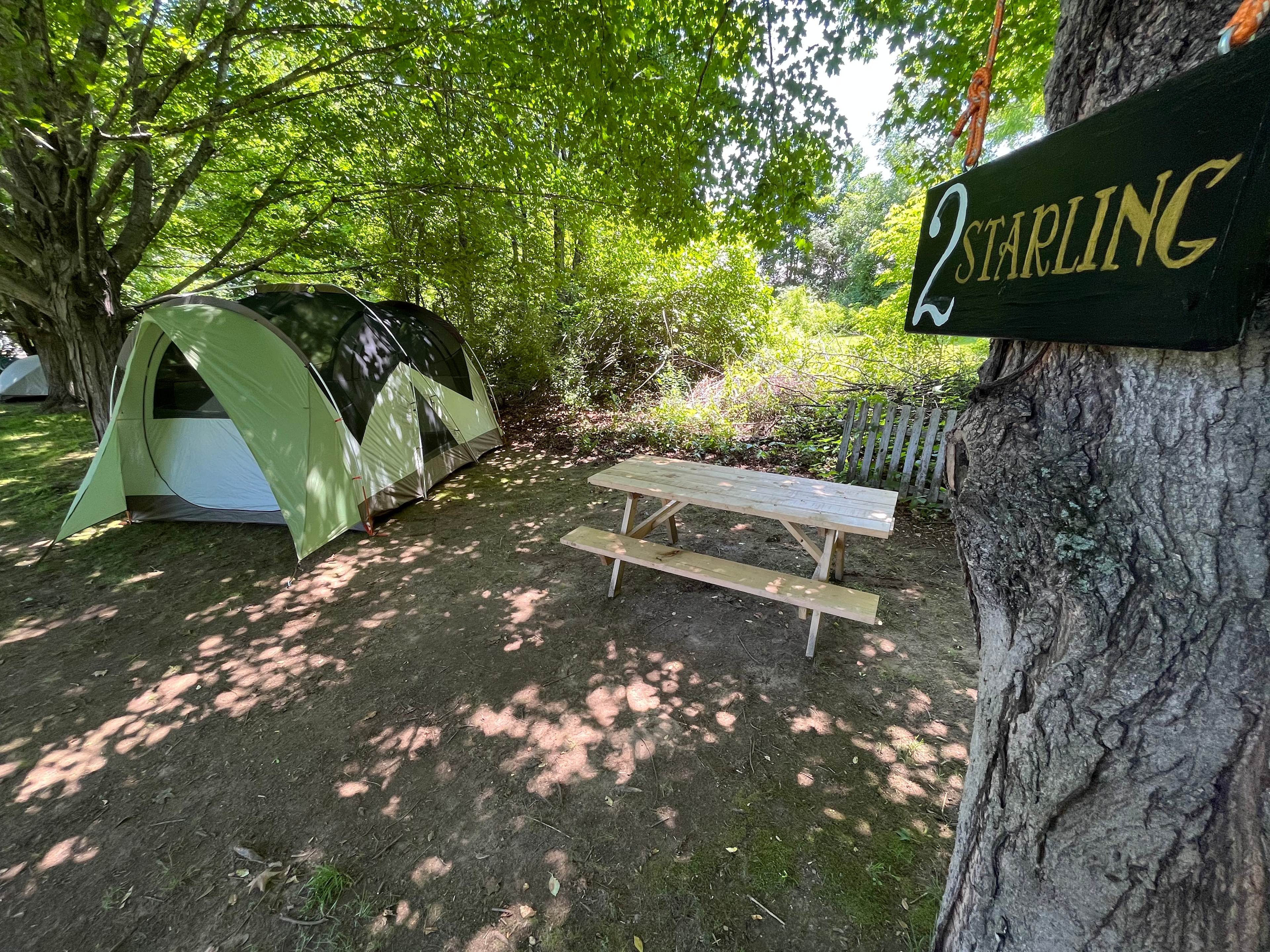 Campsites at CoHo: Conway Hostel
