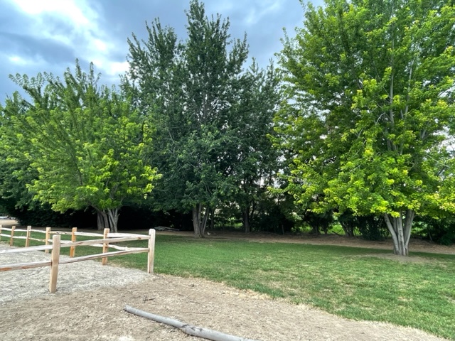 SW facing view of Site