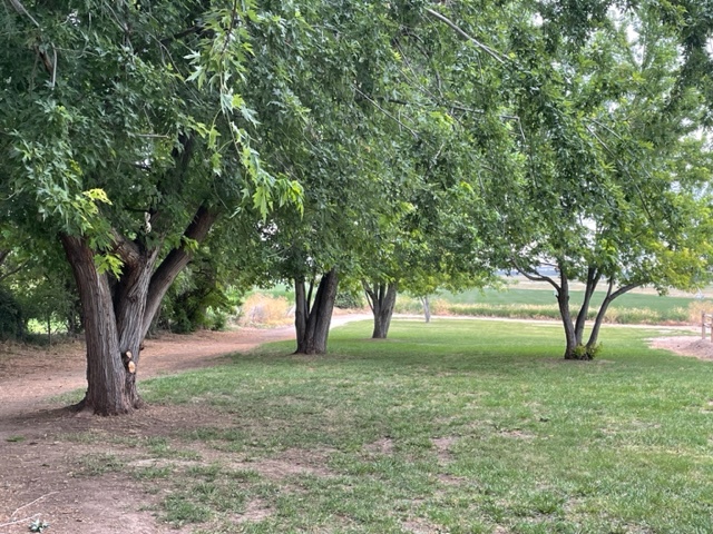 NW facing view of Site