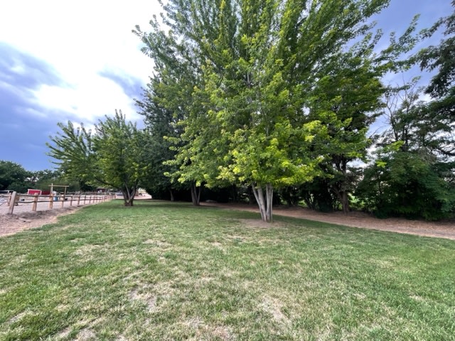 South facing view of site