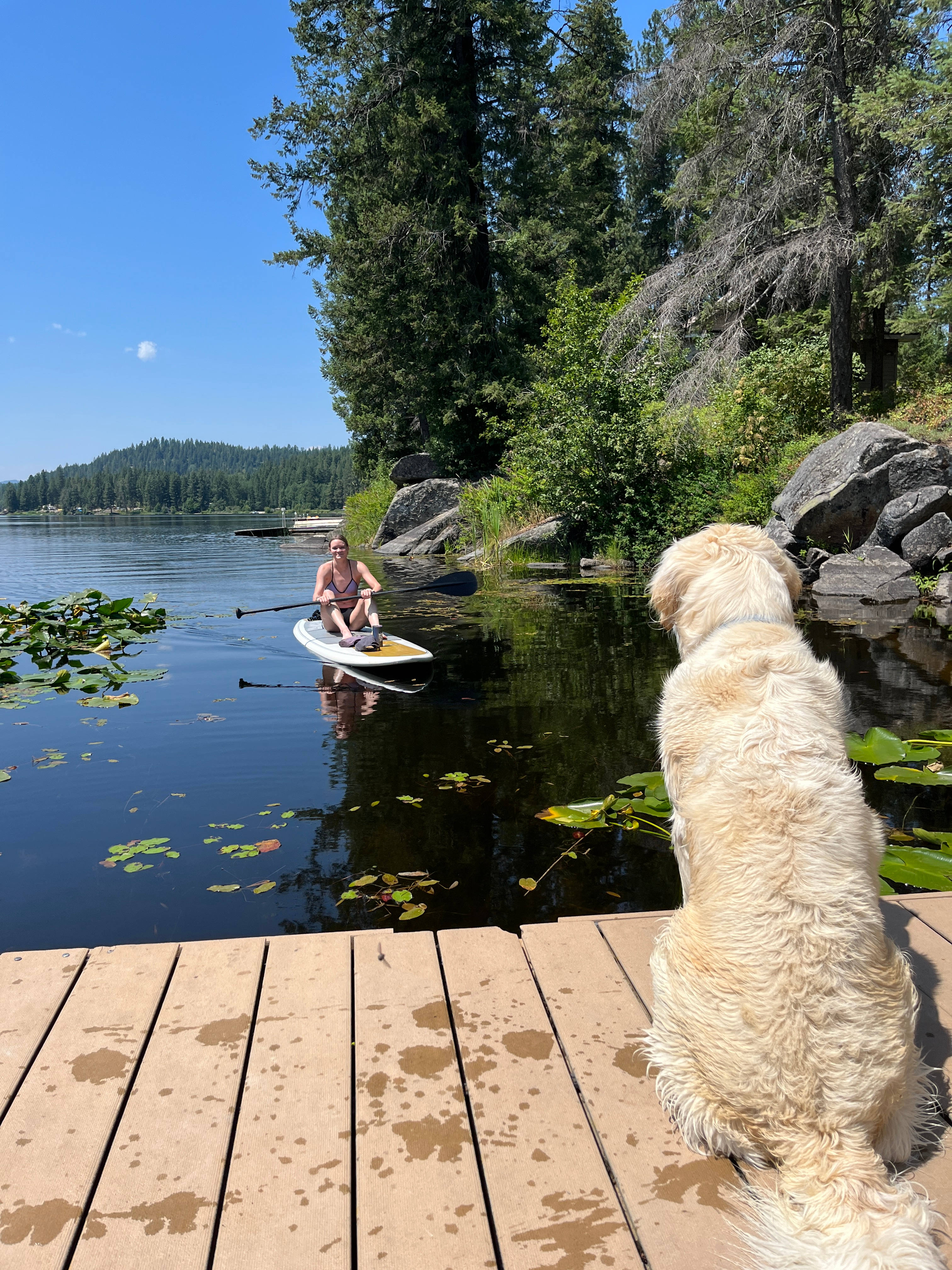 Beaver Bay
