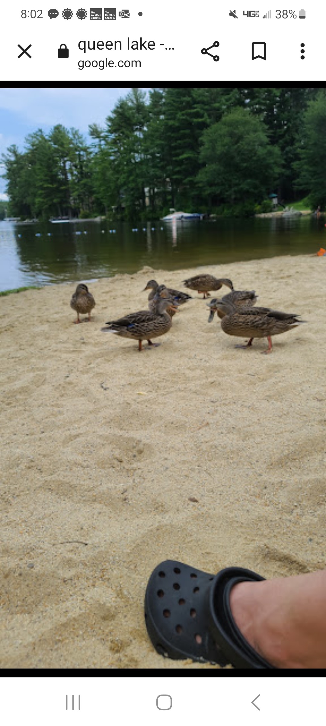 The Moose Caboose Country Farm