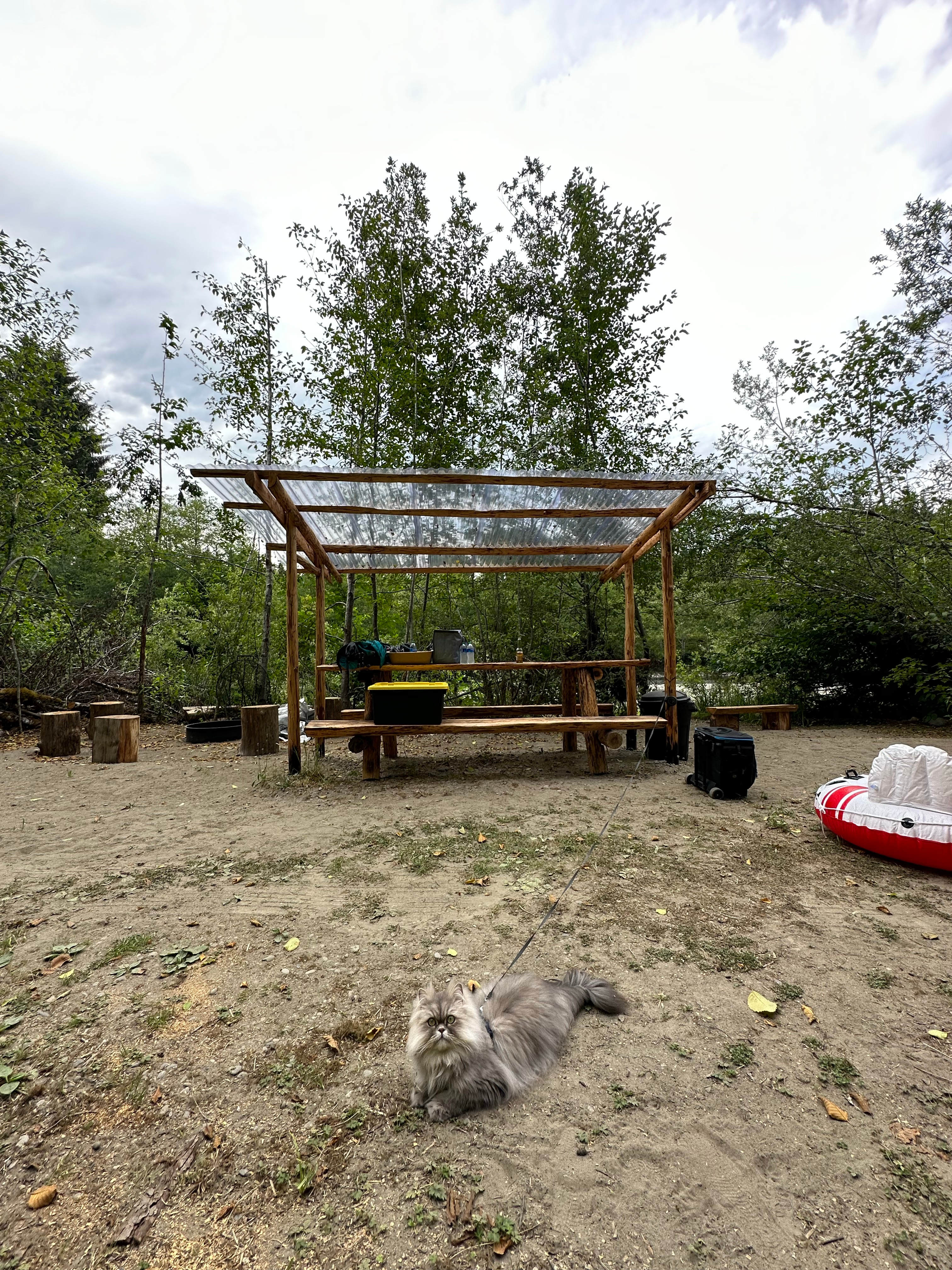 Bogachiel Upriver Campsites