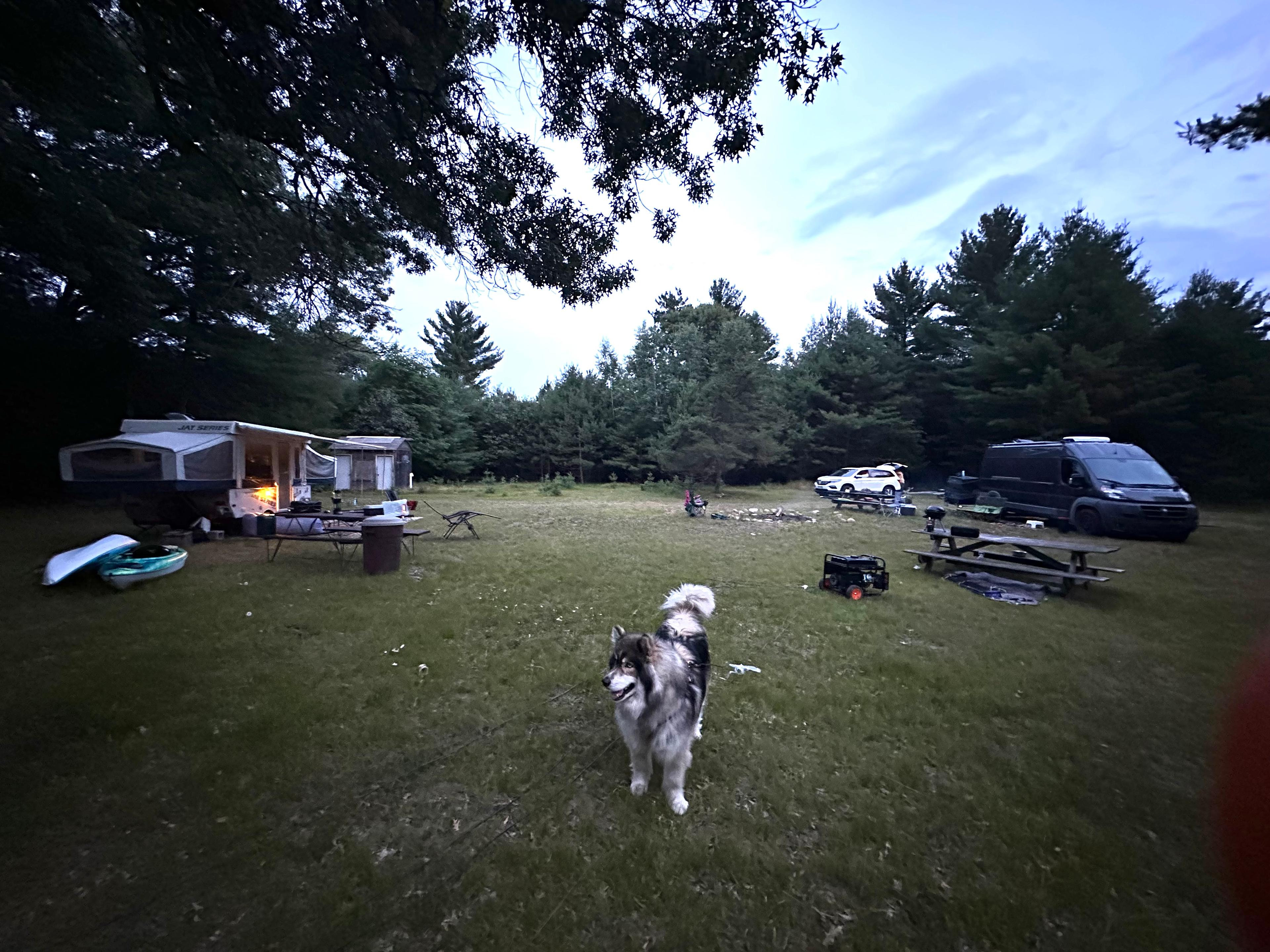 The summer camp experience