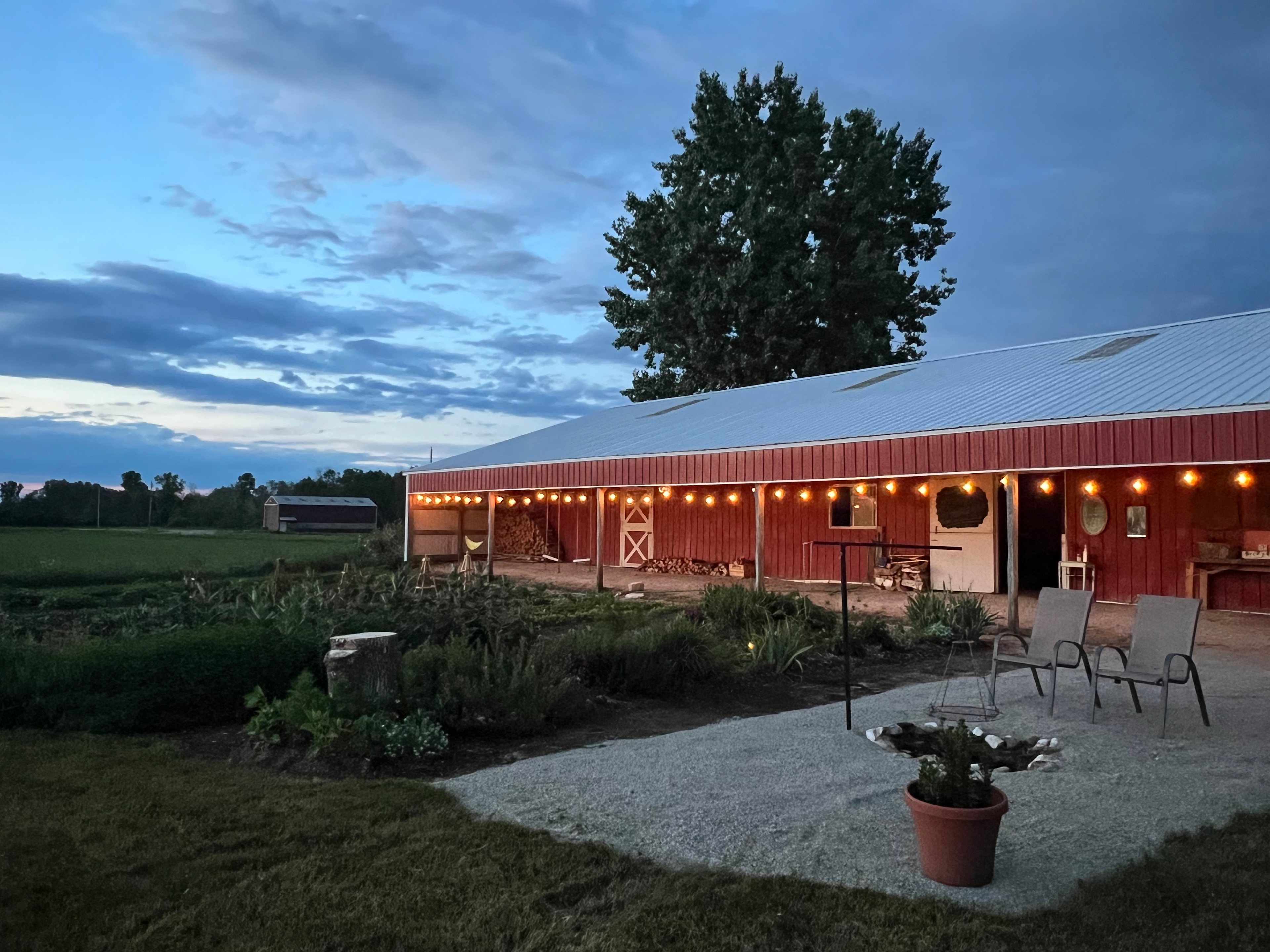 Wildflower Wanderlust