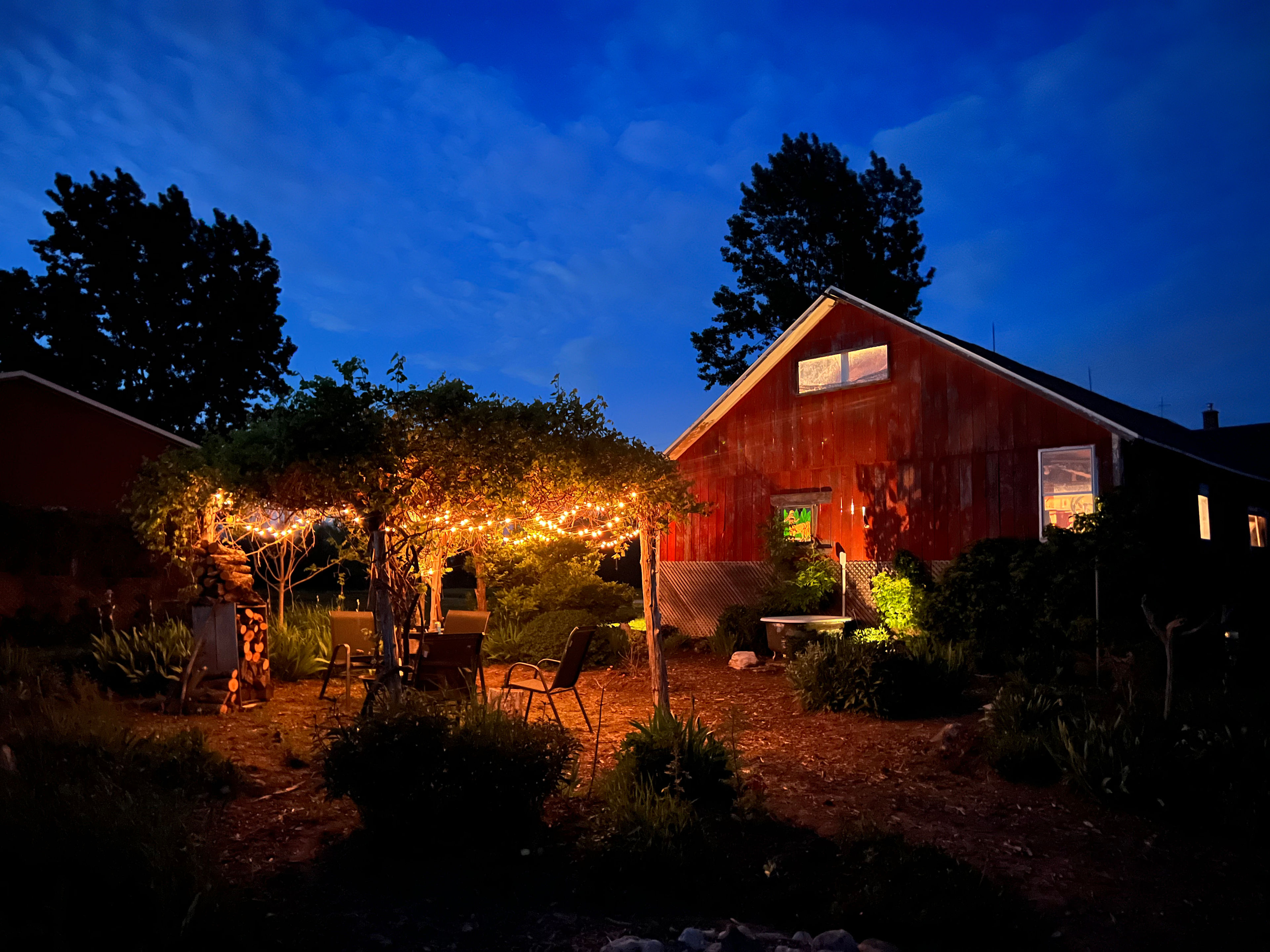 Wildflower Wanderlust