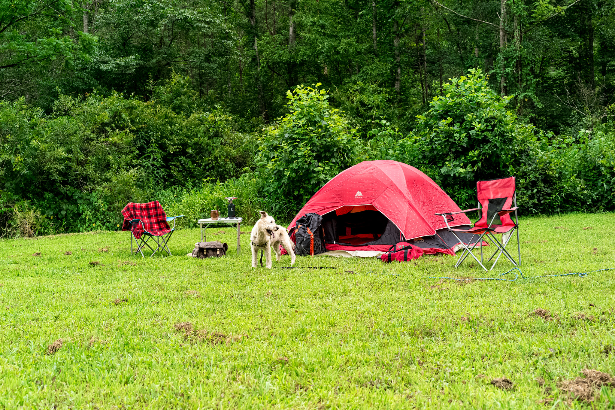 Bigfoot Brook Campground