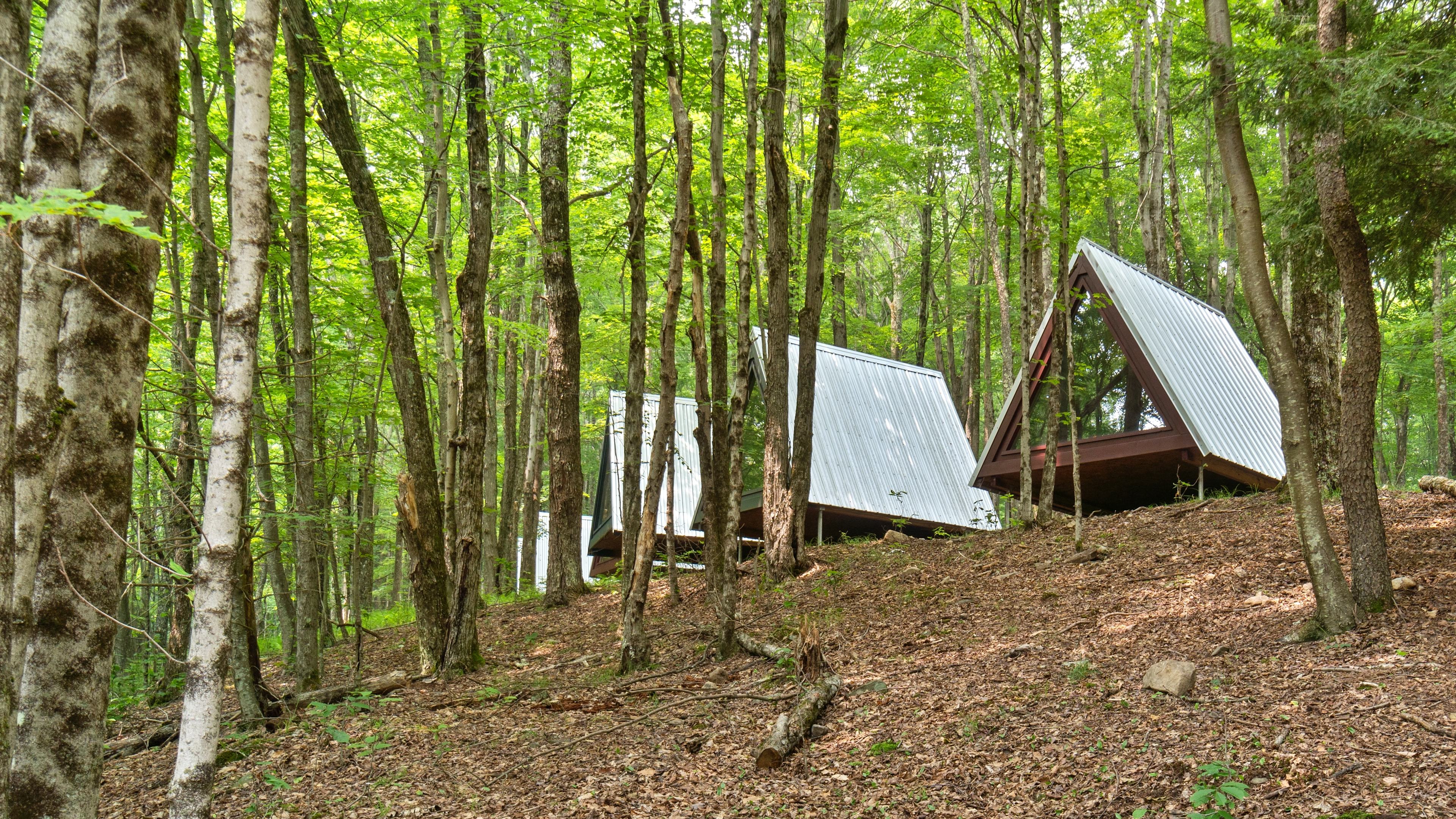 A-Frames at Callicoon Hills