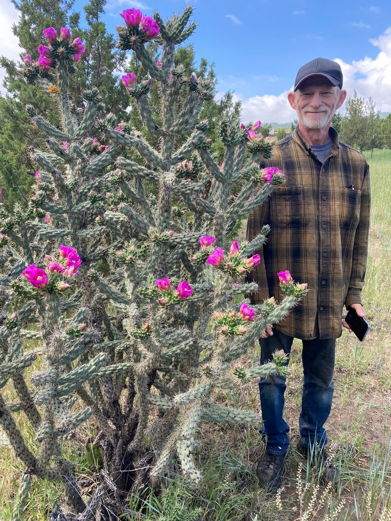 Cactus Marty