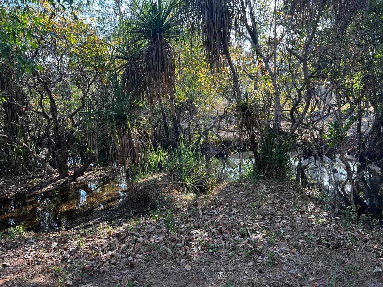 Peaceful off Grid