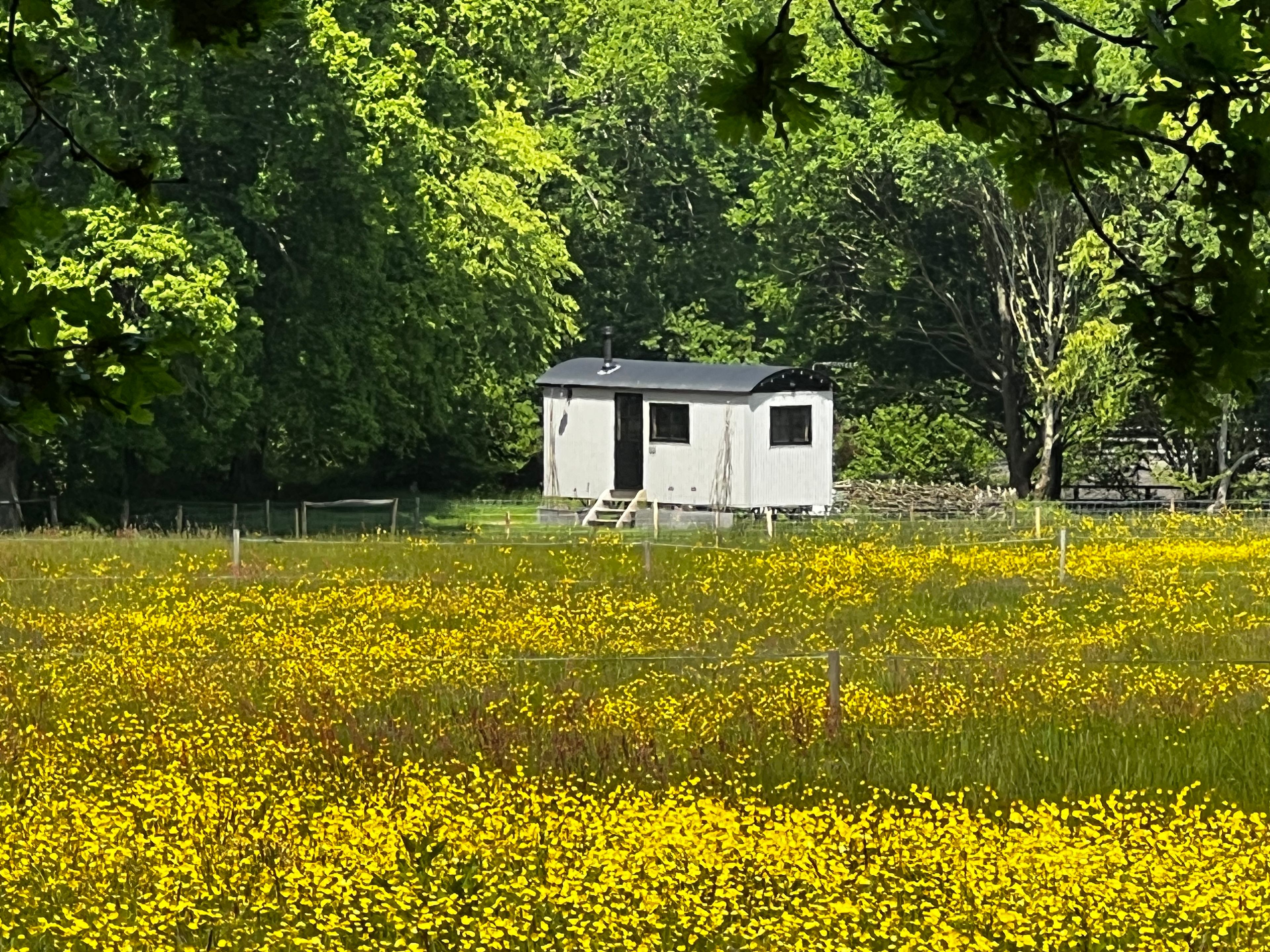 Quaint Farm in a National Park