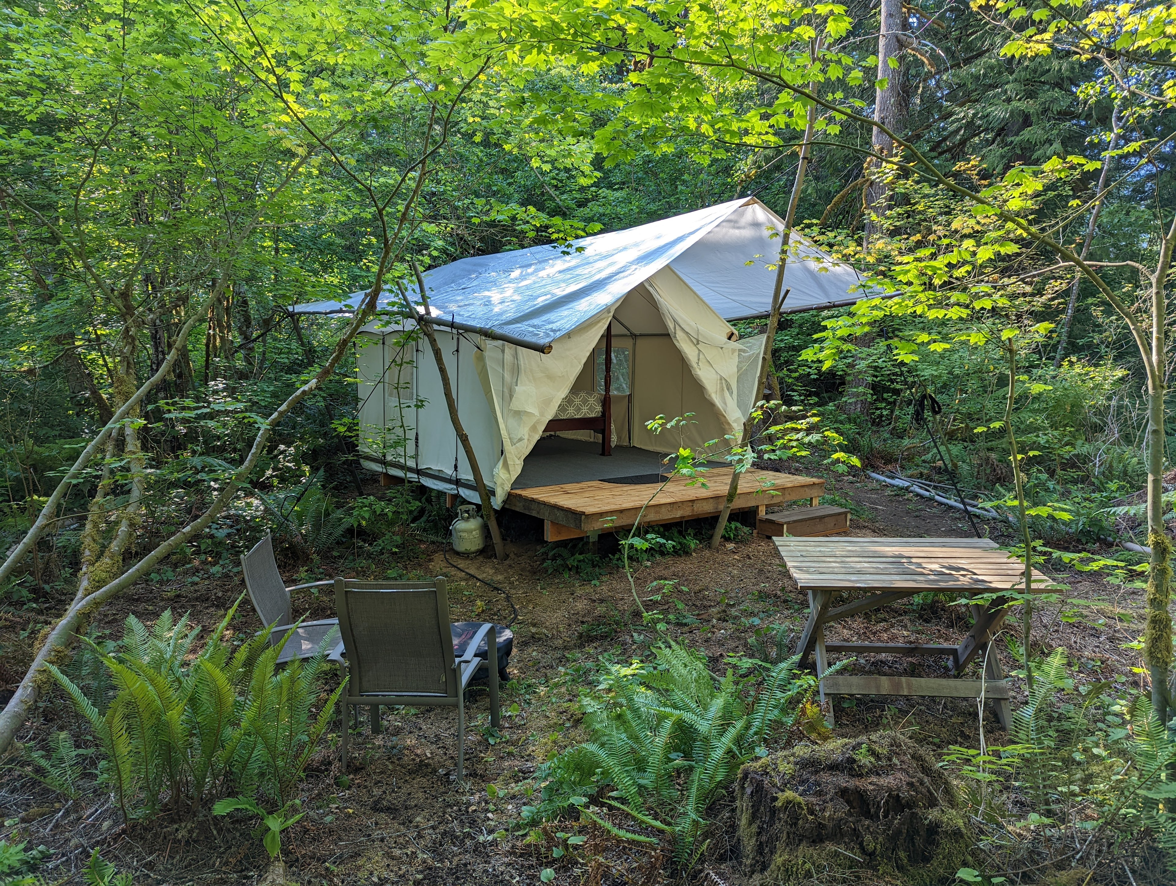 Forest and River Glamping Refuge