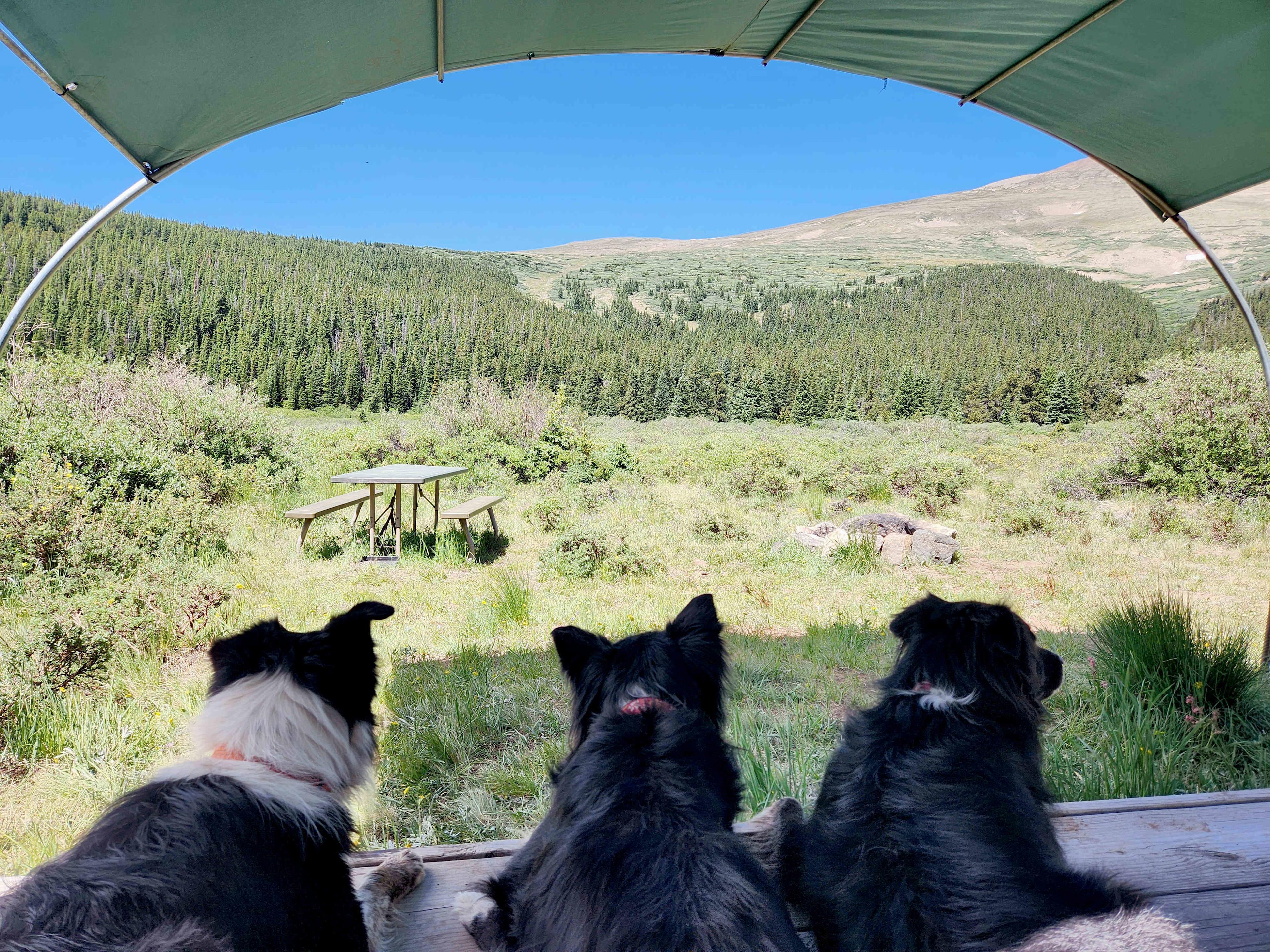 Mountain Meadow Glamp Camp