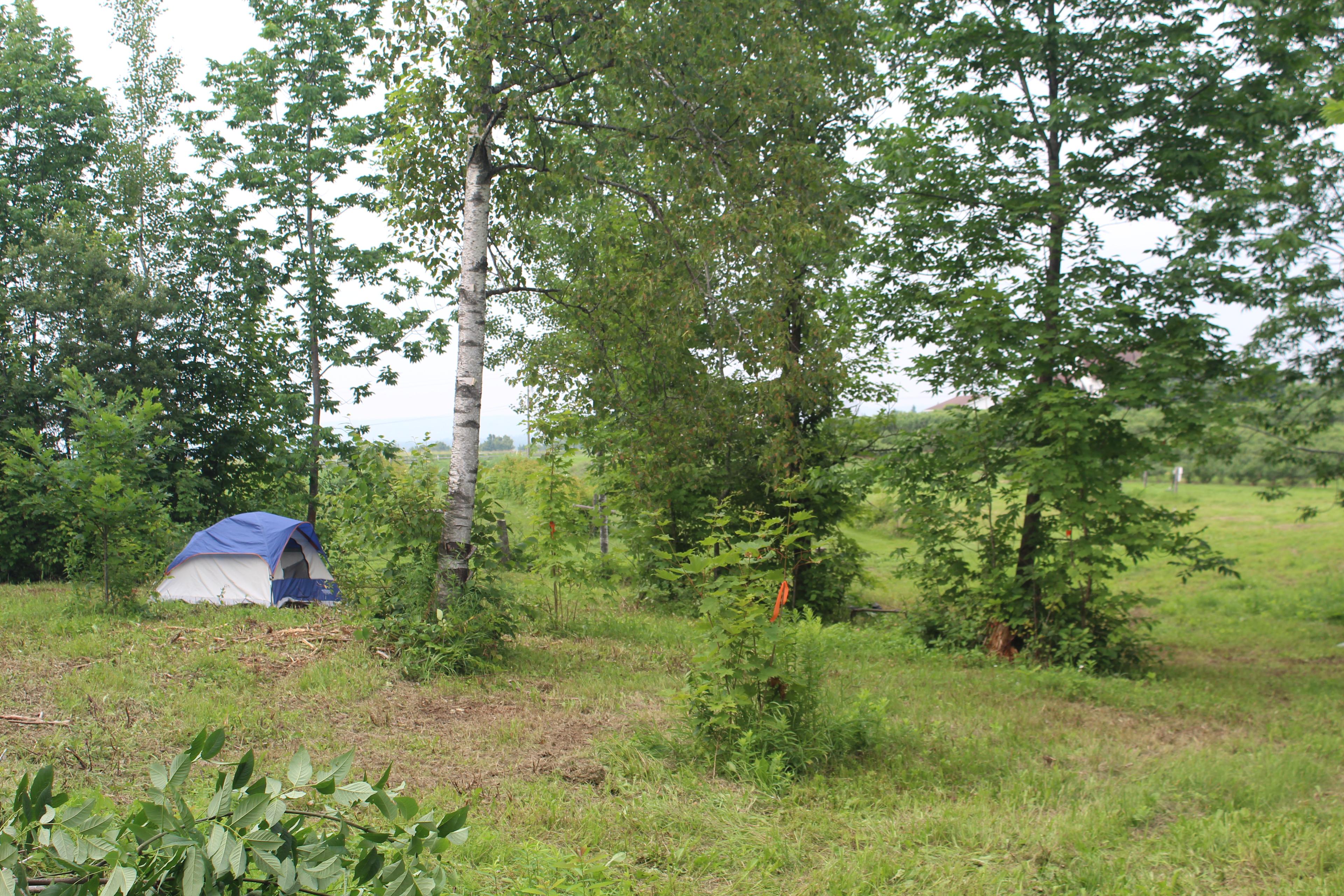 Sunnyside Family Farm Camping