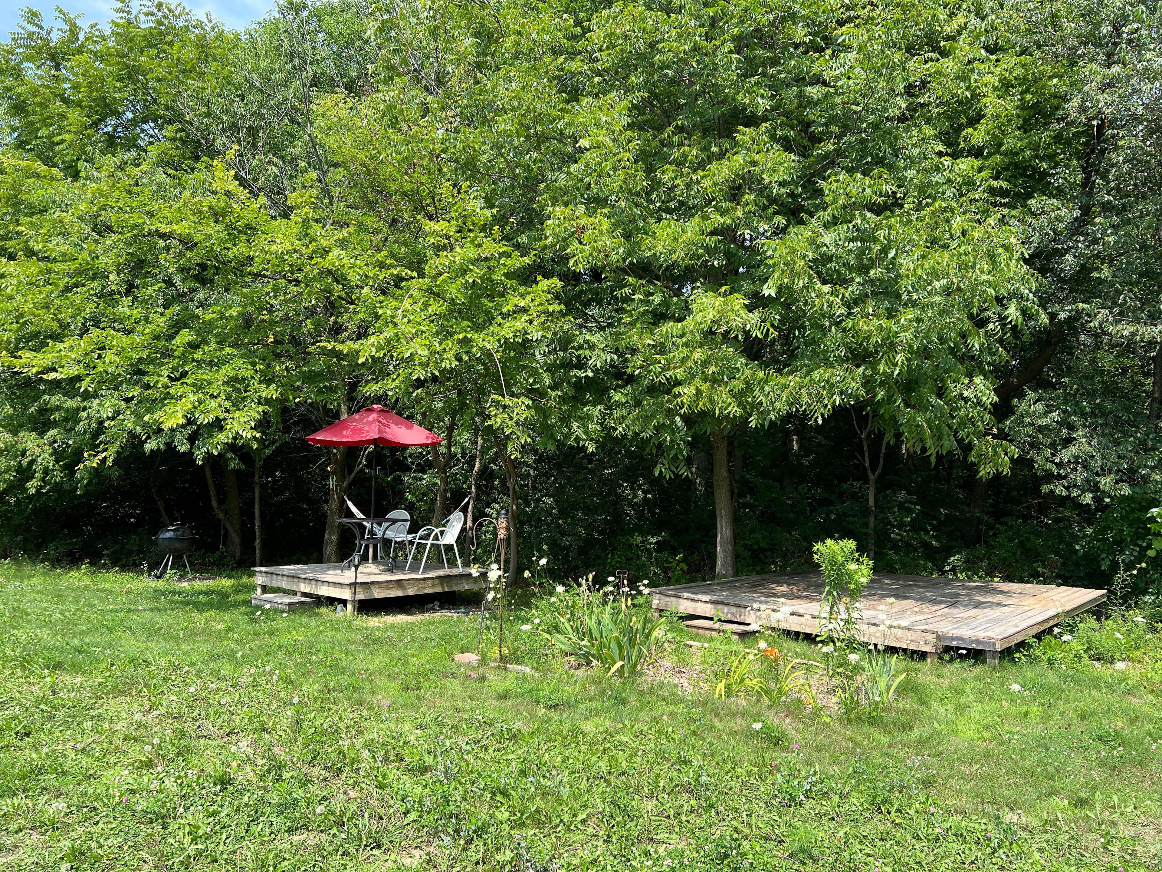Black Sheep Flower Farm