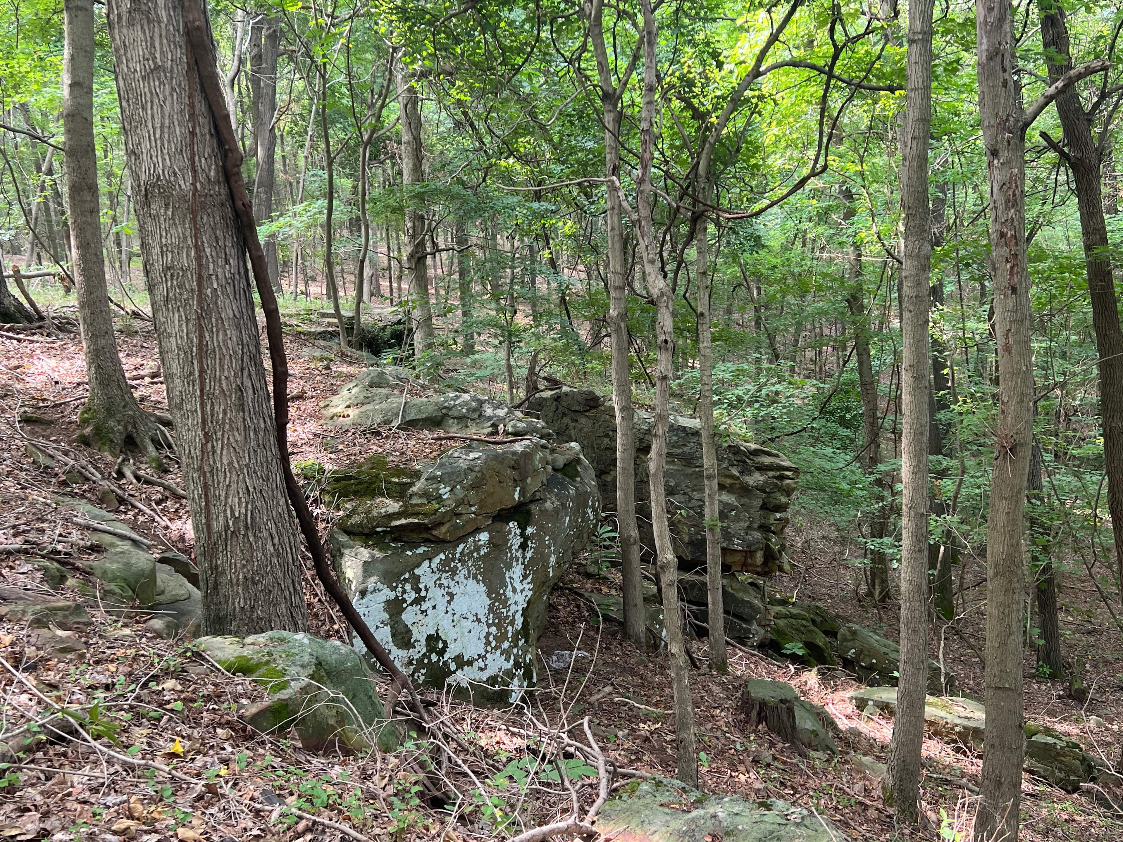 The hidden bluff