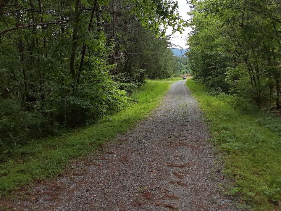 Road between barrier gate and campsite--very short distance.