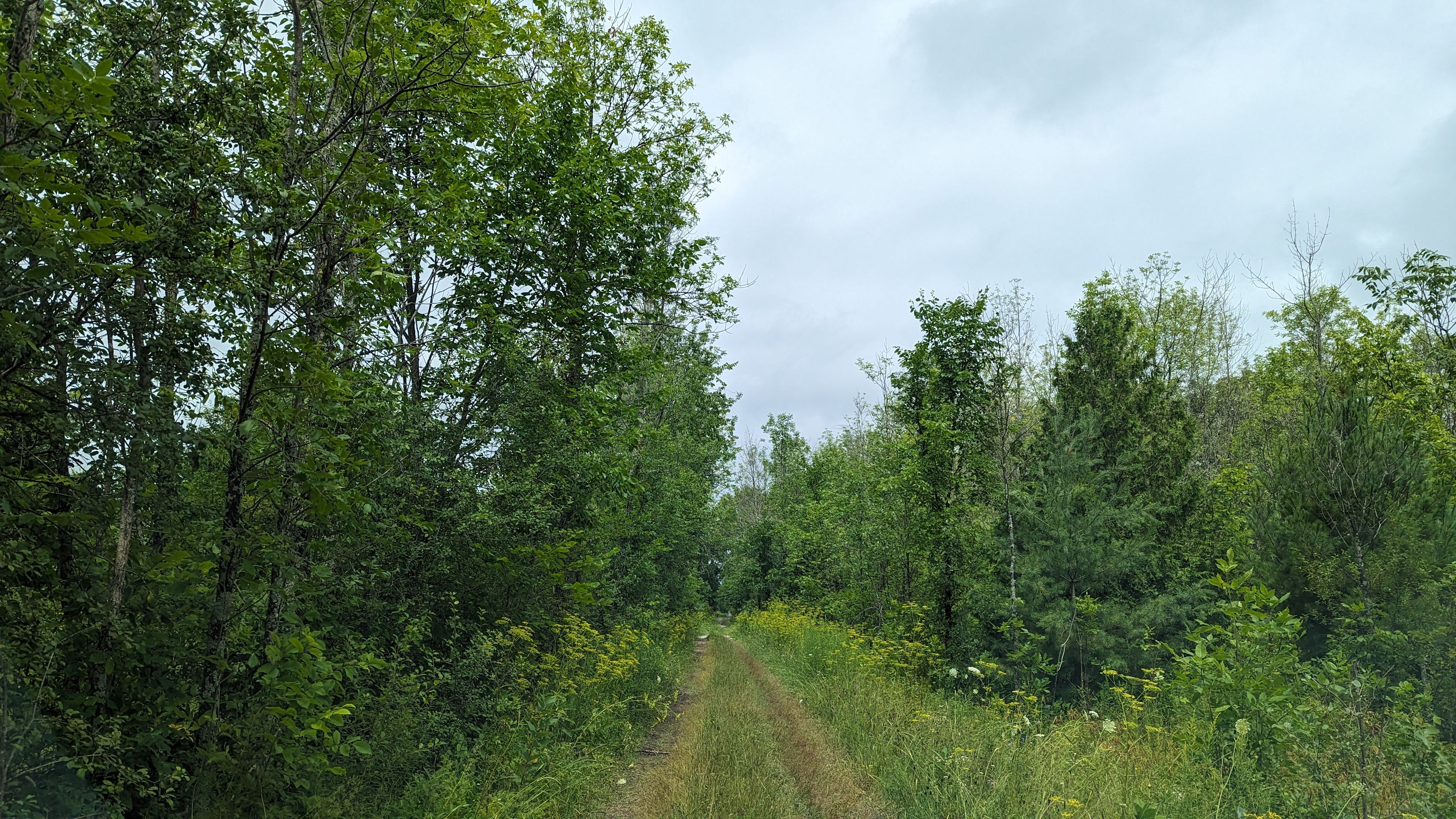 Enchanted Acres