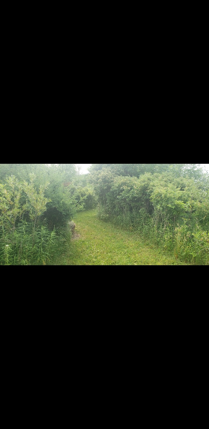 Endless Adventure