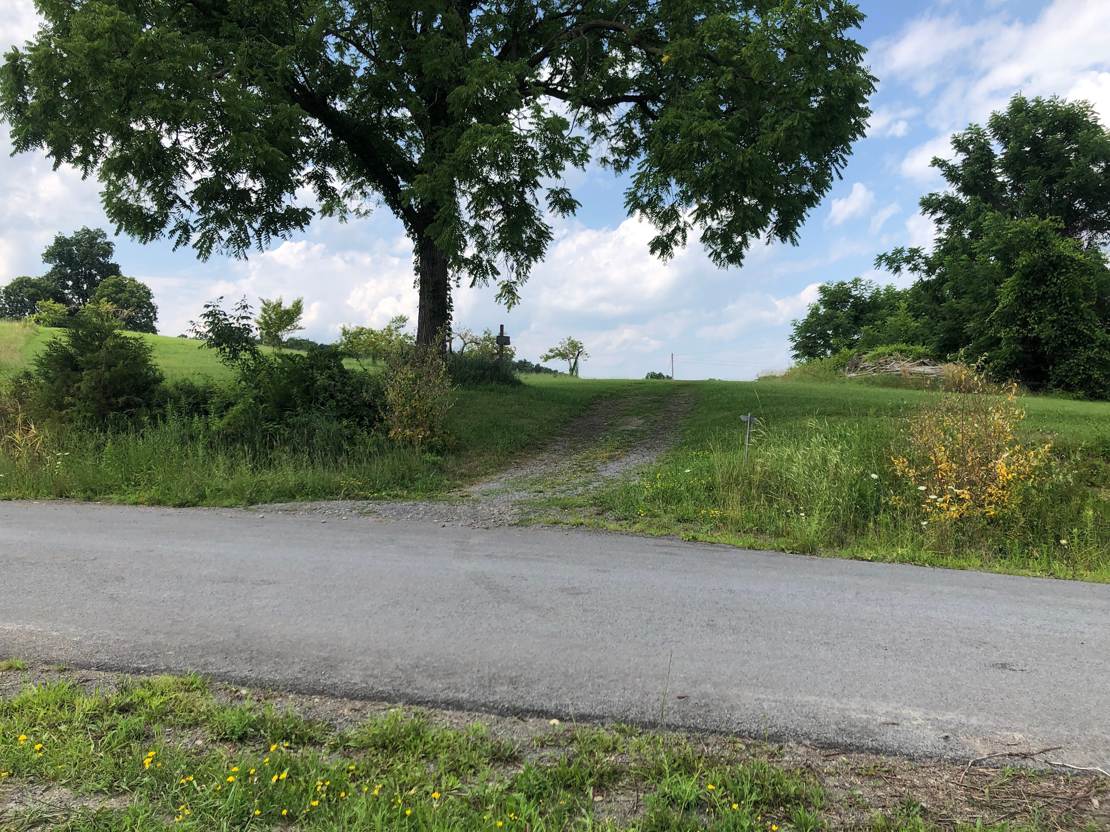 HipSites @ Fulkerson Winery