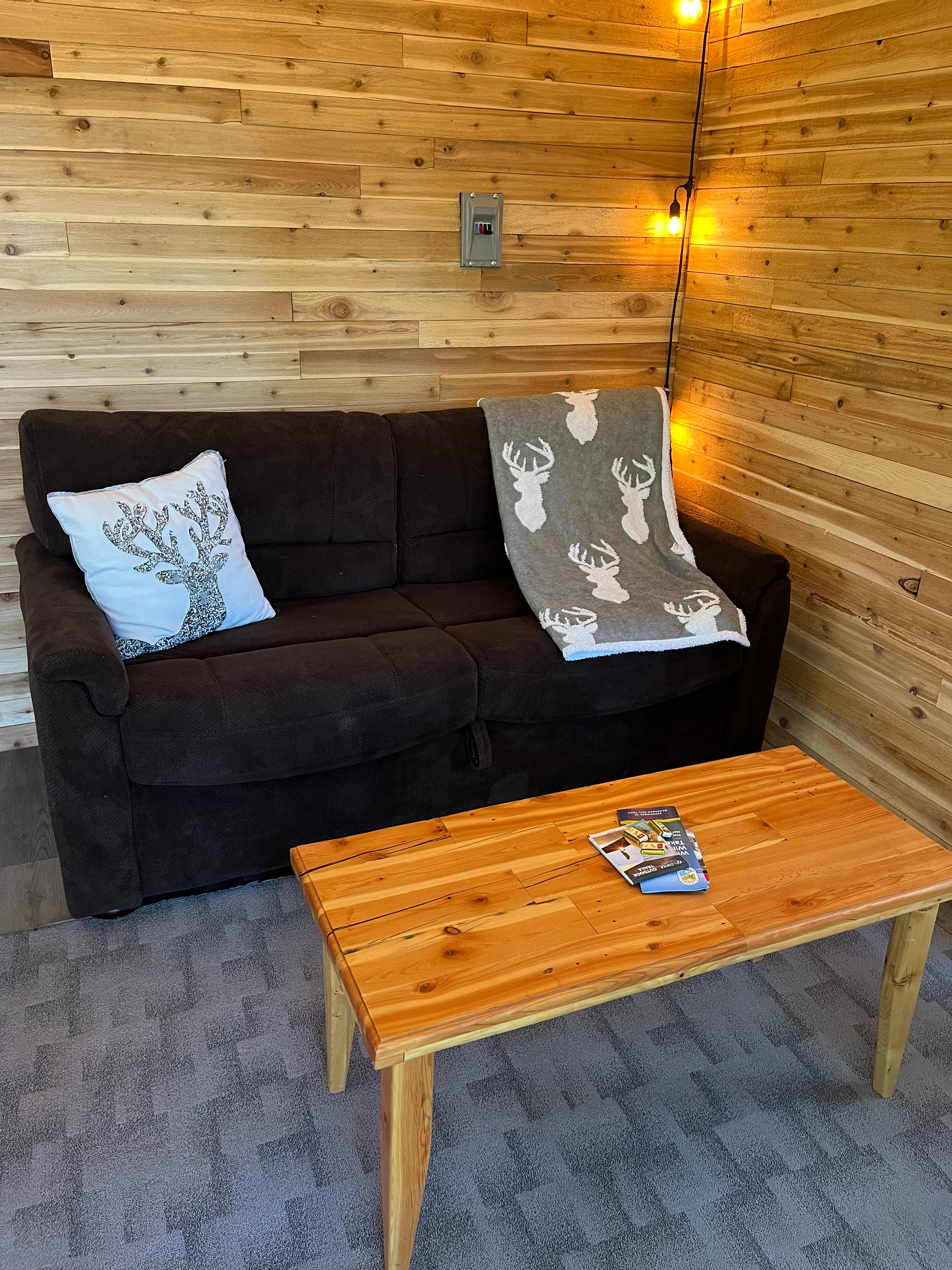 Hide a bed comfy couch 