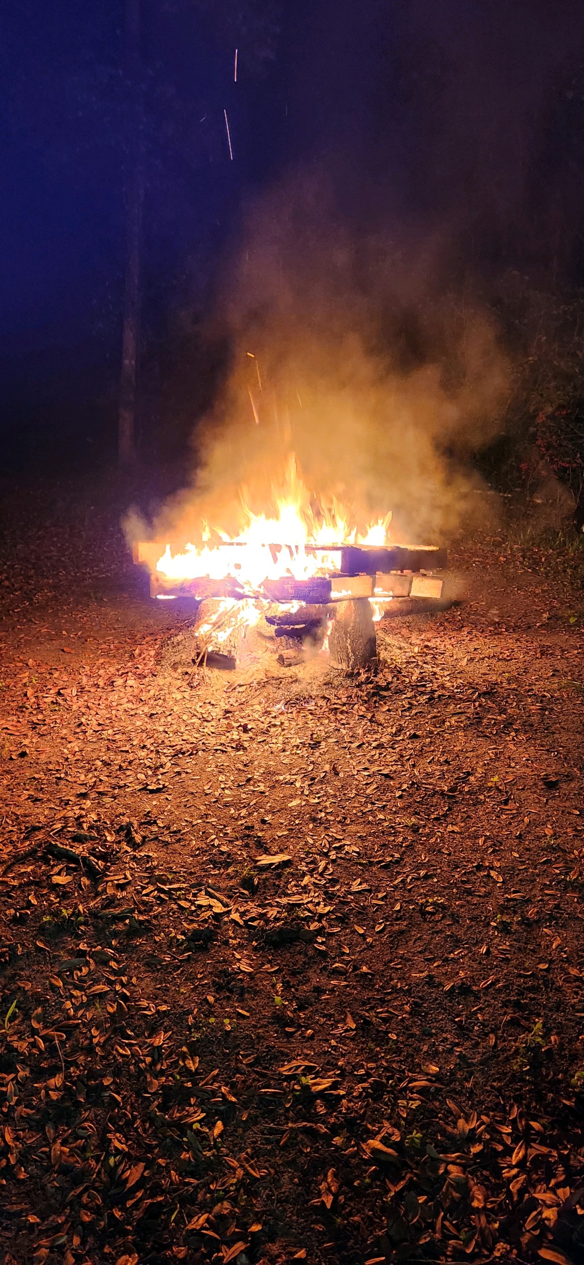 Rustic Off-Grid Mountain Cabin
