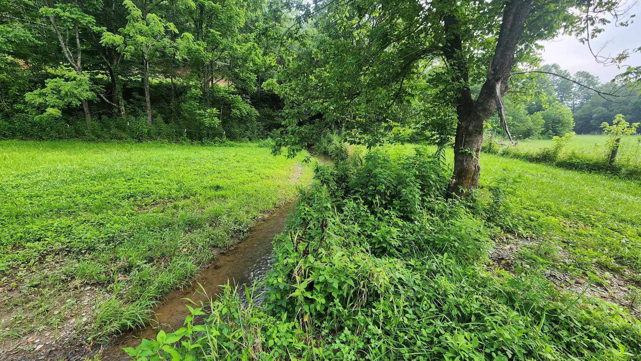 Cripple Creek Meadows