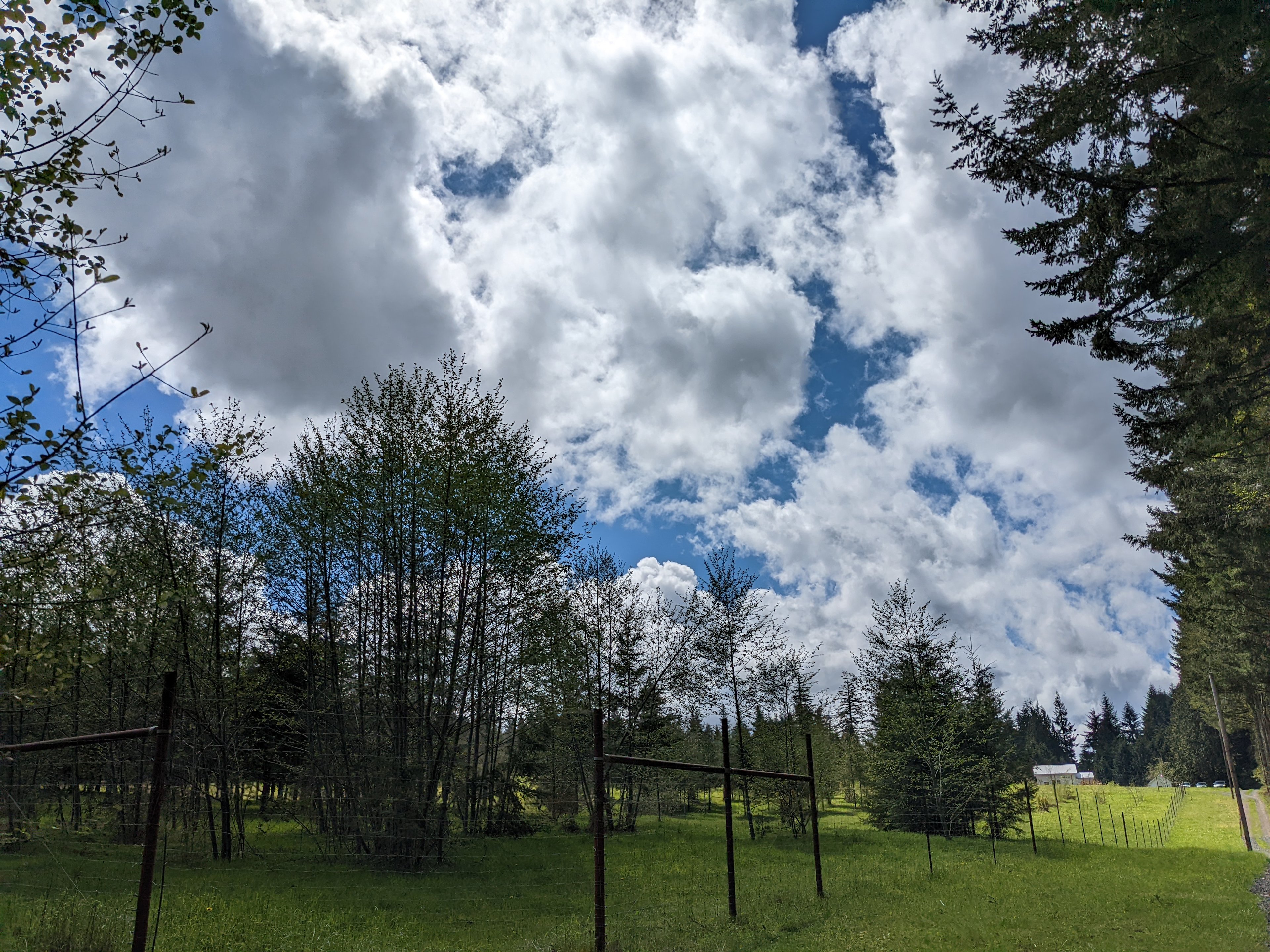 Hoodland Basecamp at Scrumpy Farest