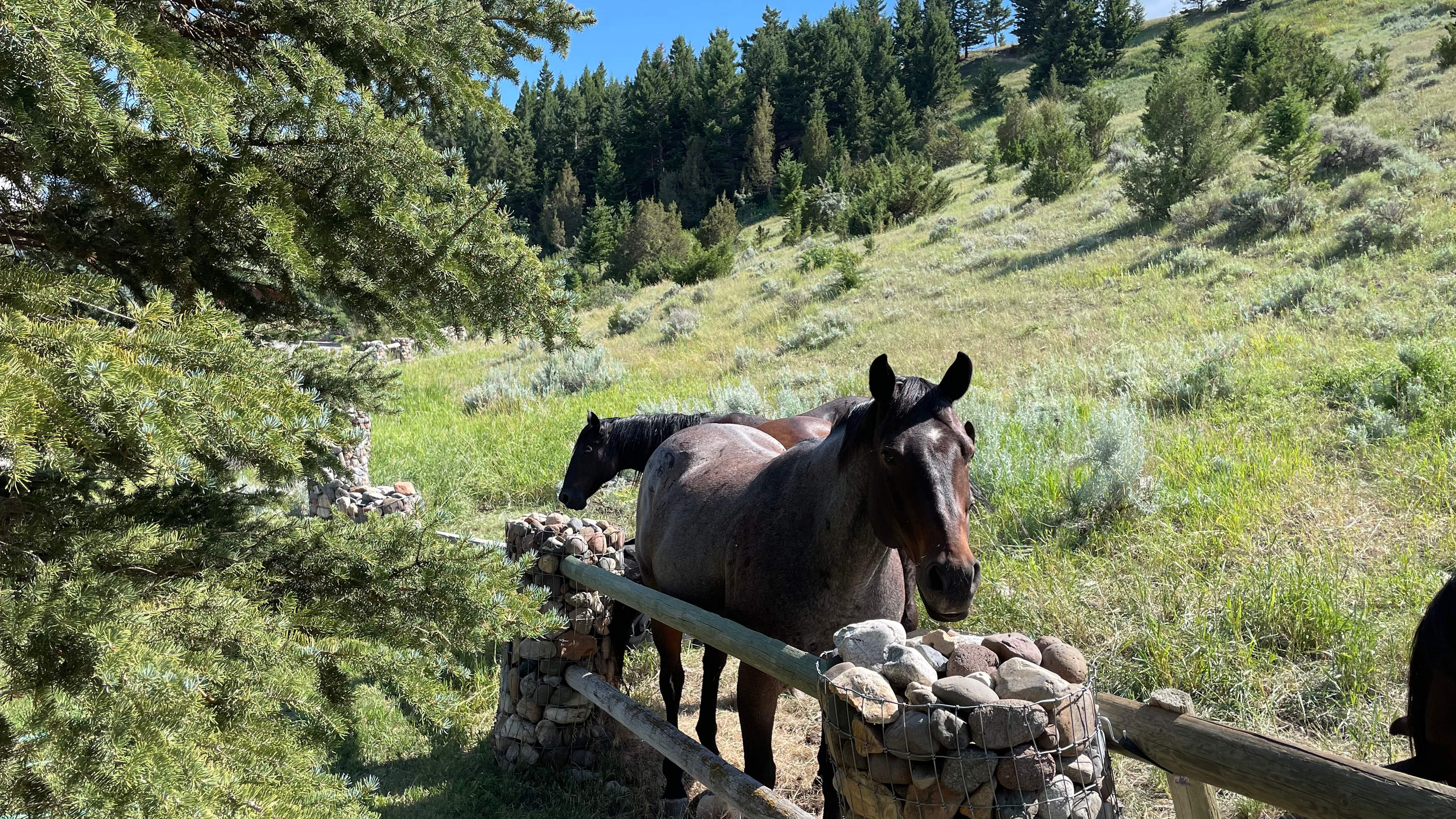 Wineglass Ranch