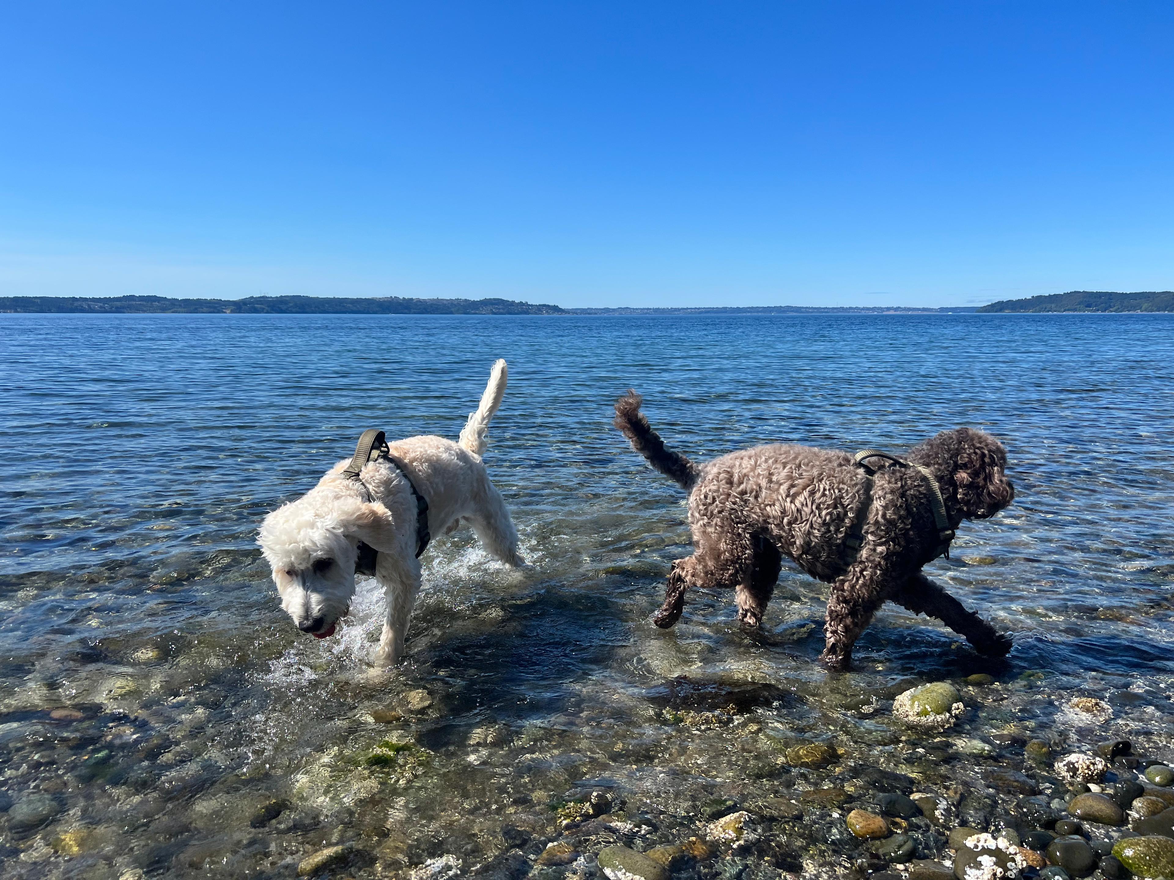 Two Bluff Campsites With Beach Access