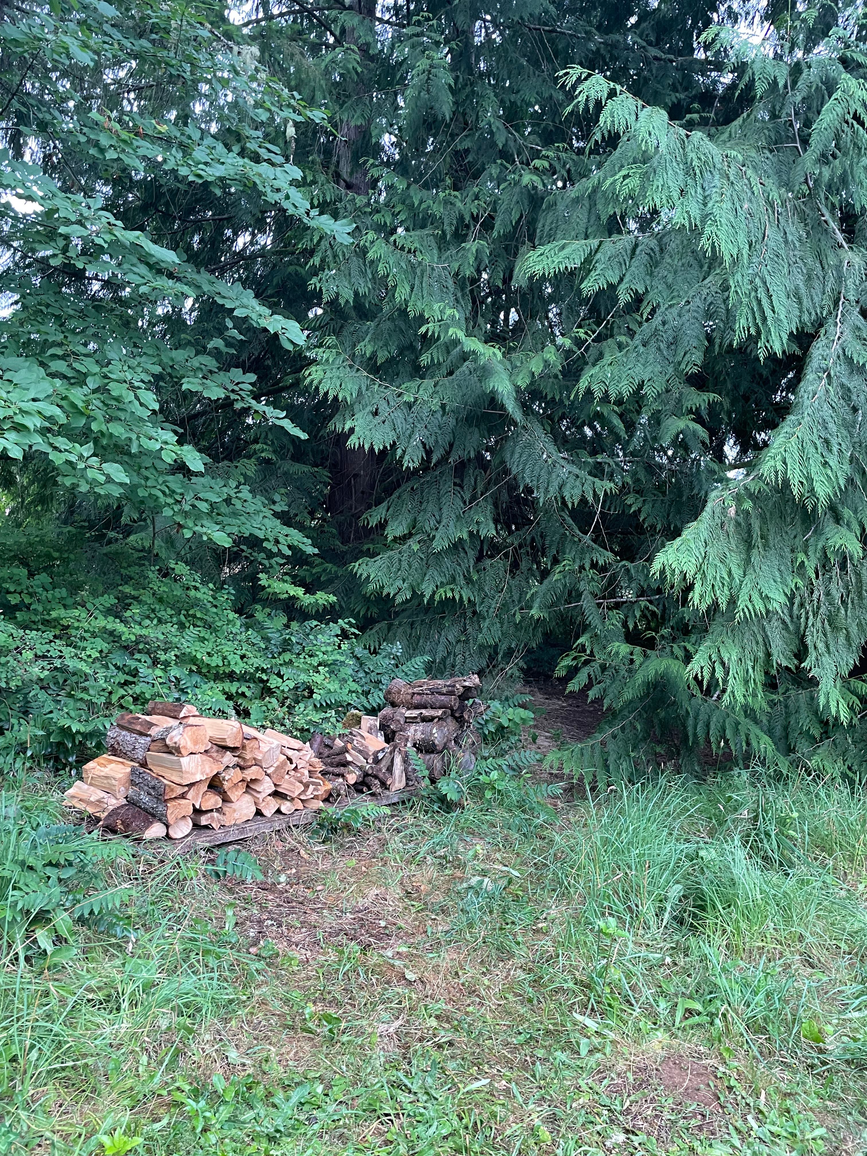 Salmonberry Meadows