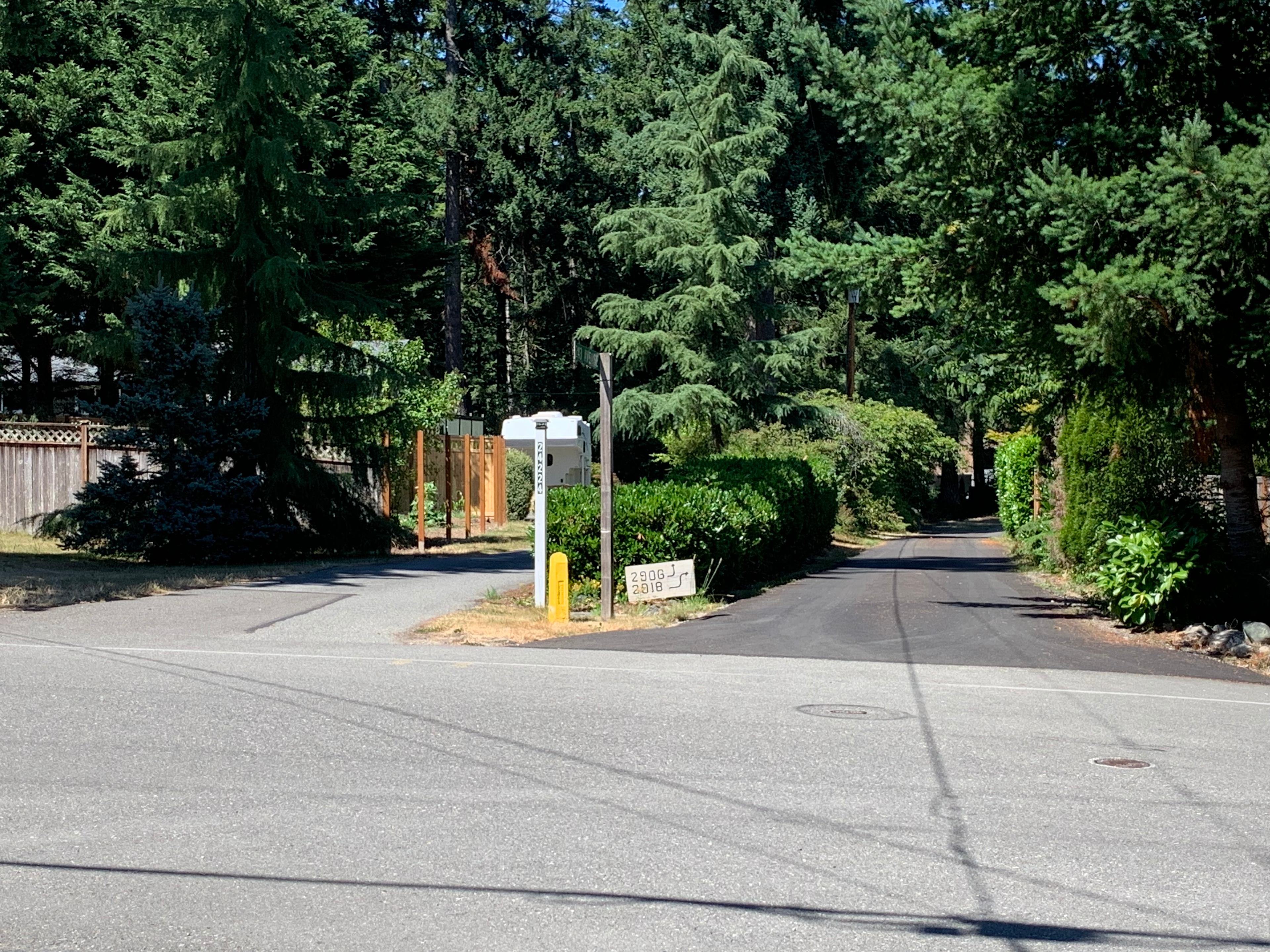 Go down the driveway on the right side of the small yellow concrete pillar. 