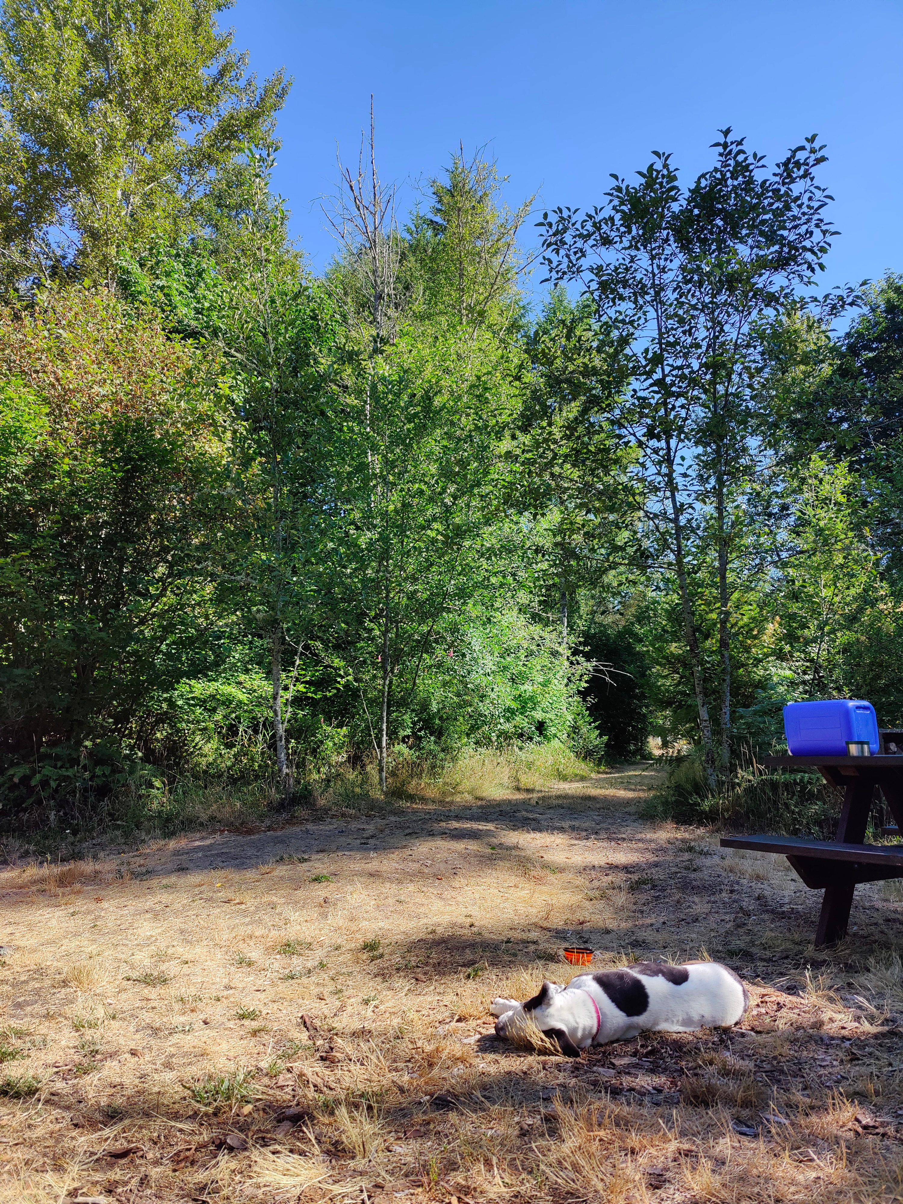 Edelgran Forest Camp