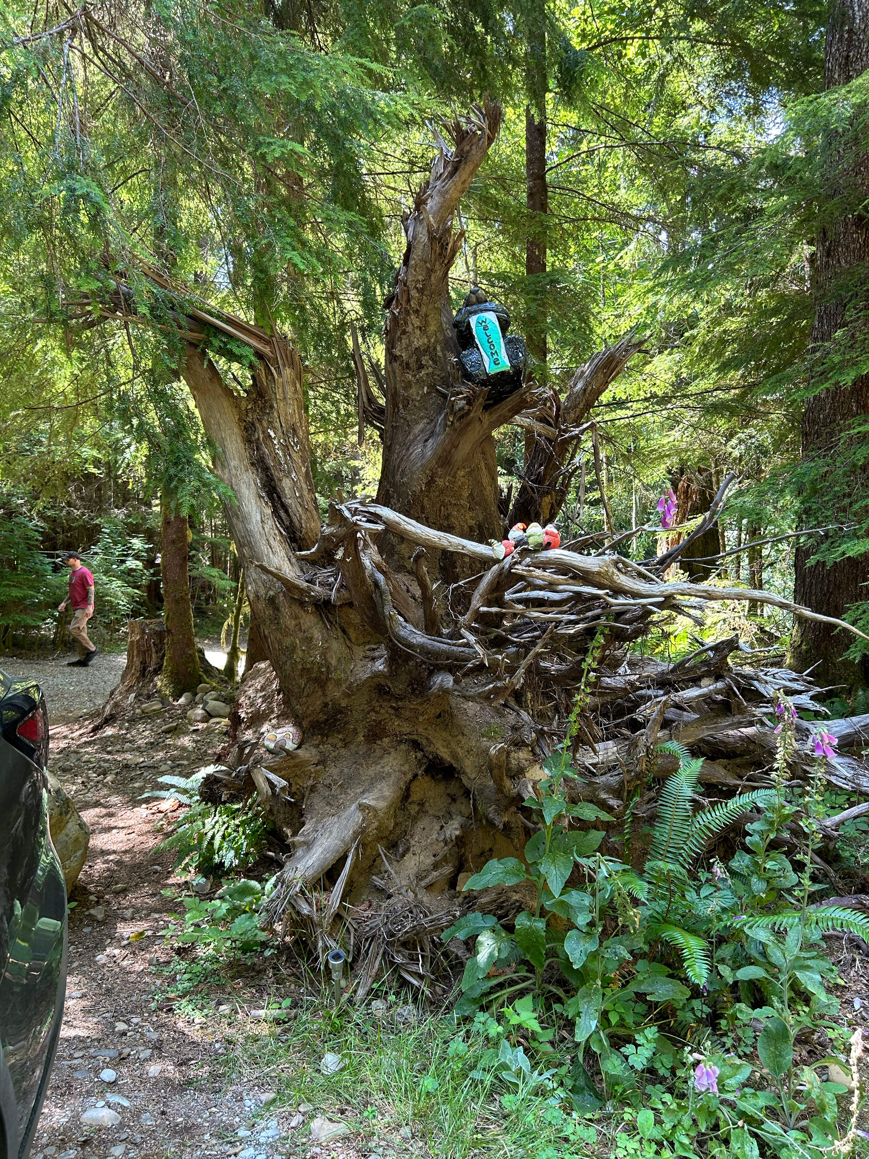 Dawleys SolDuc River Campground