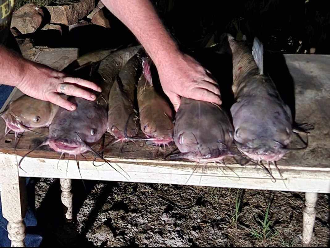 Split Rock Retreat - Campground