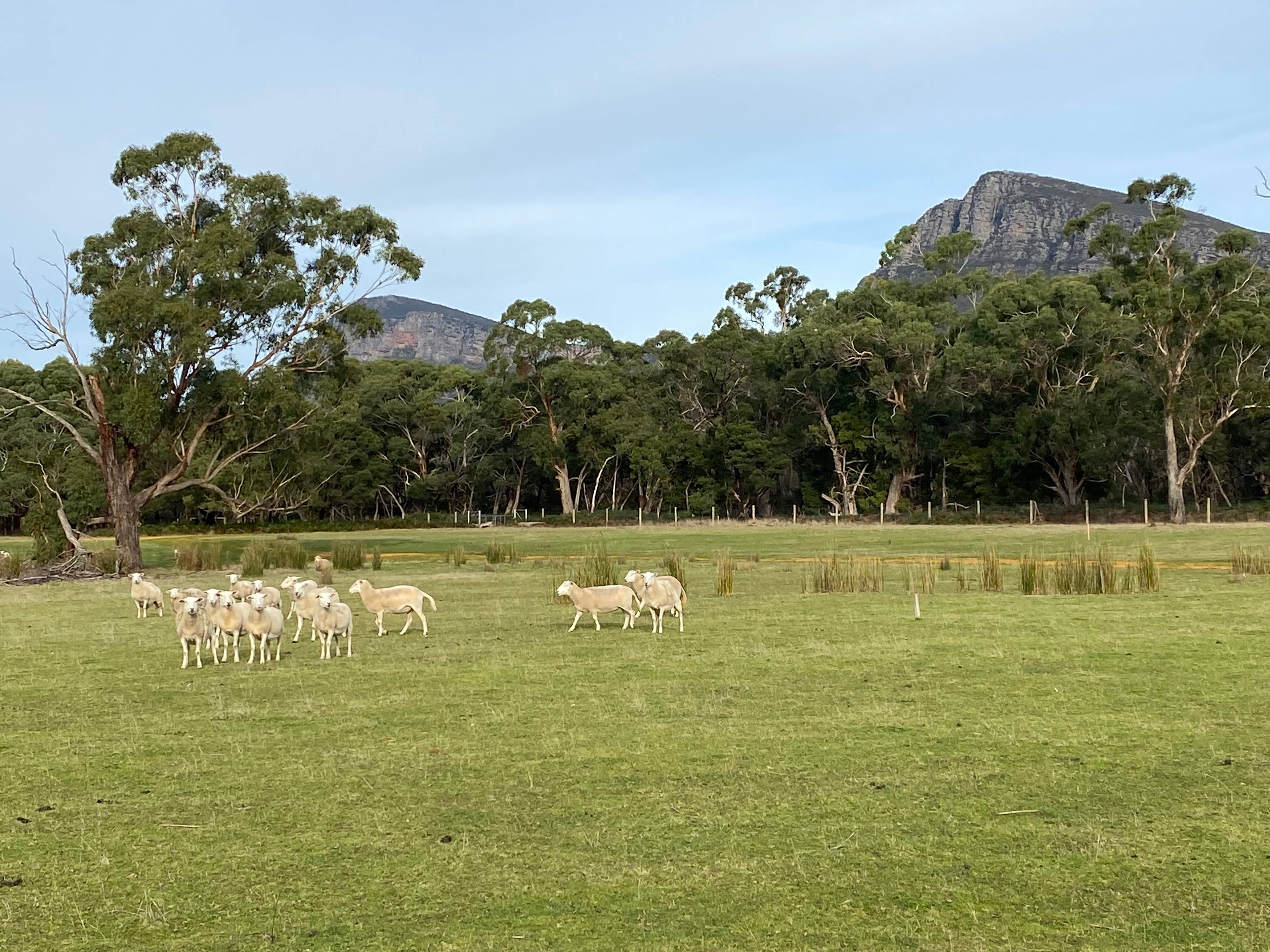 Wannon River Farm
