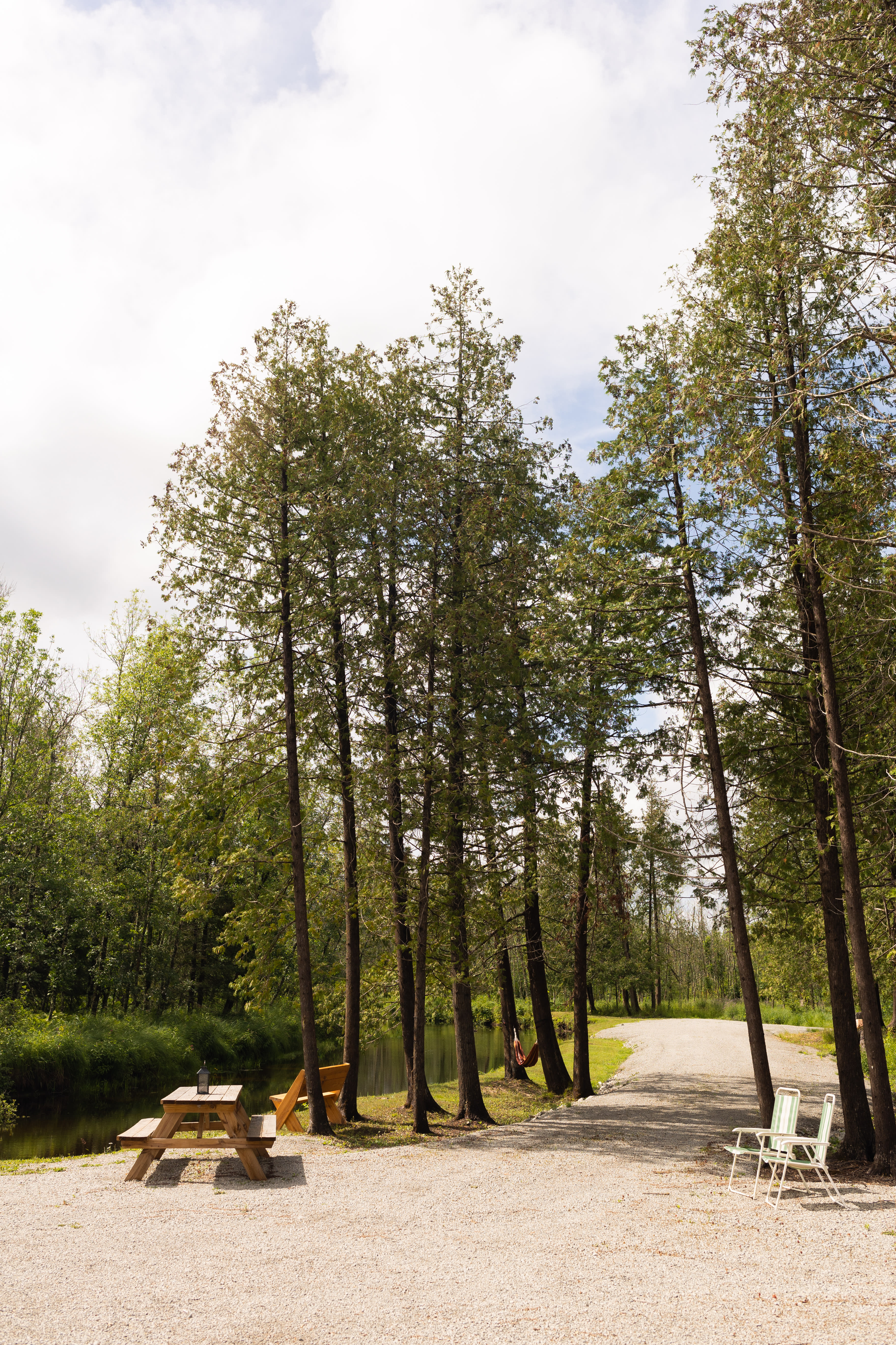 Site overview. Benches, chairs, picnic tables, hammock provided by host
