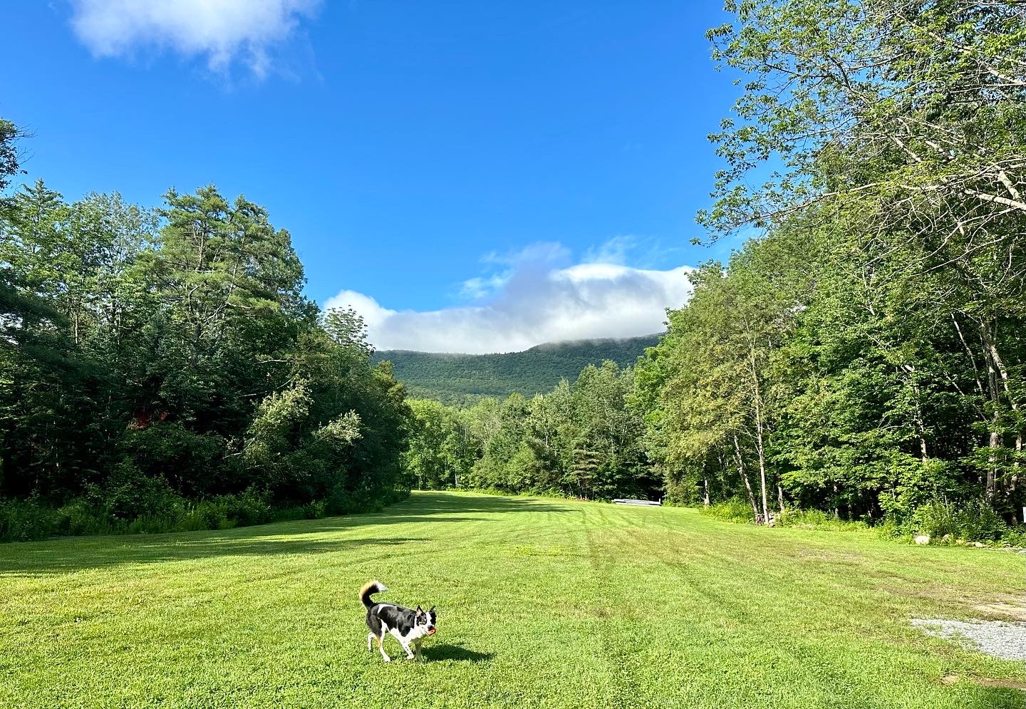 Camp Ebb and Flow